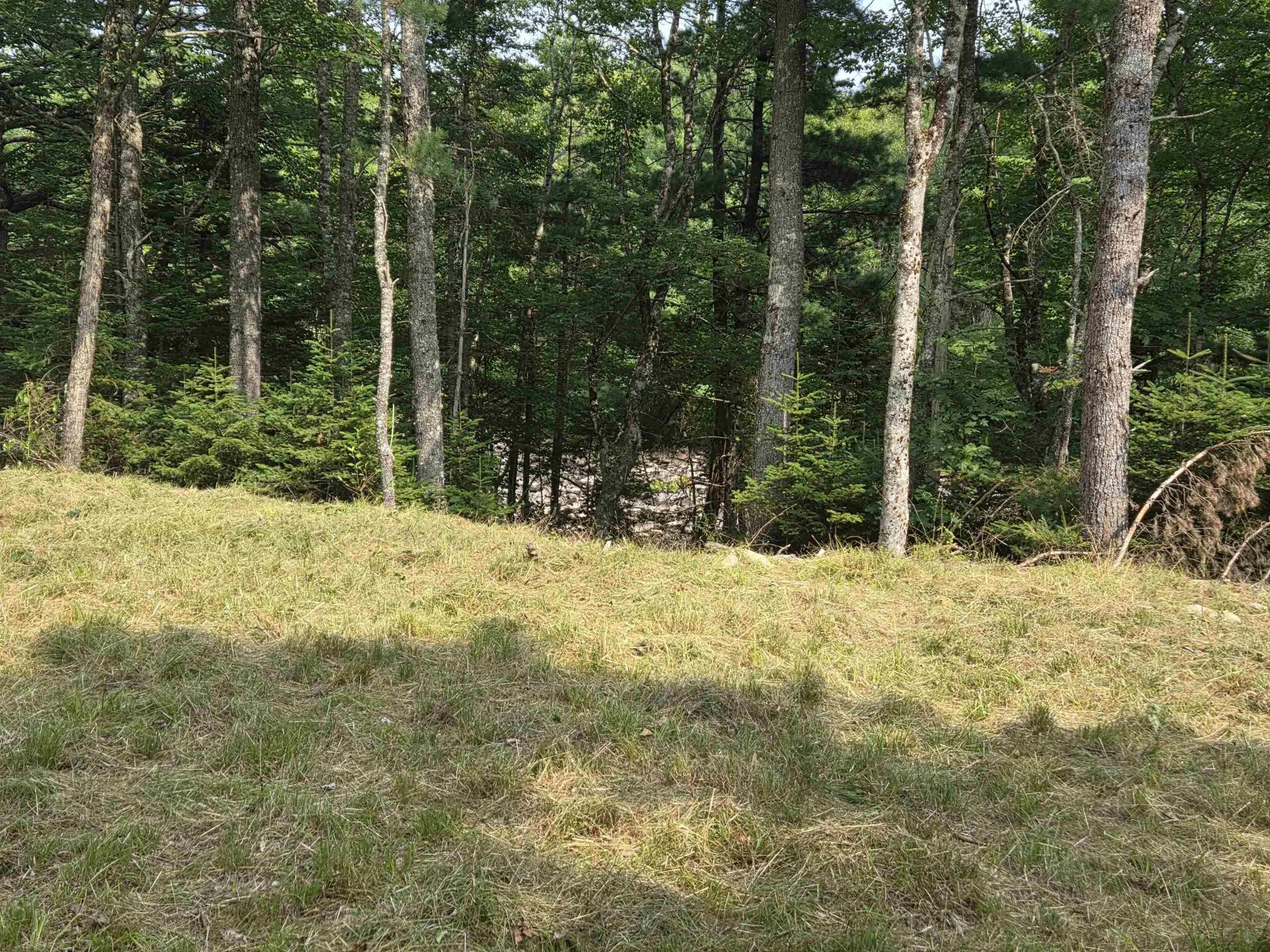 Highway 103, Sable River, NS B0T 1W0, ,Land,For Sale,Highway 103,202520267
