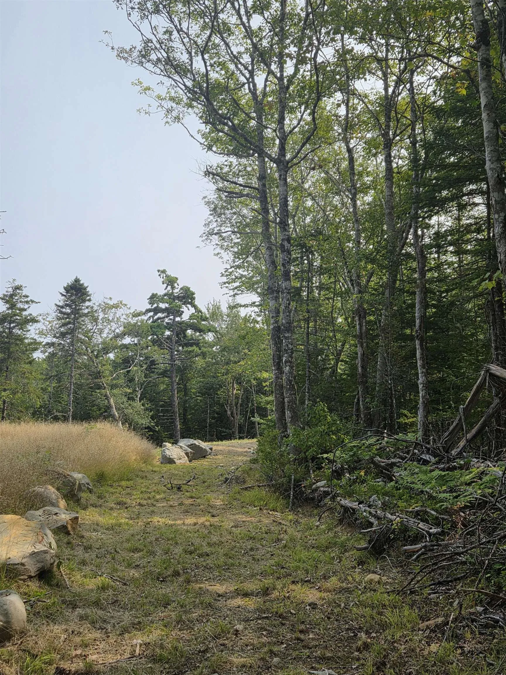 Highway 103, Sable River, NS B0T 1W0, ,Land,For Sale,Highway 103,202520267