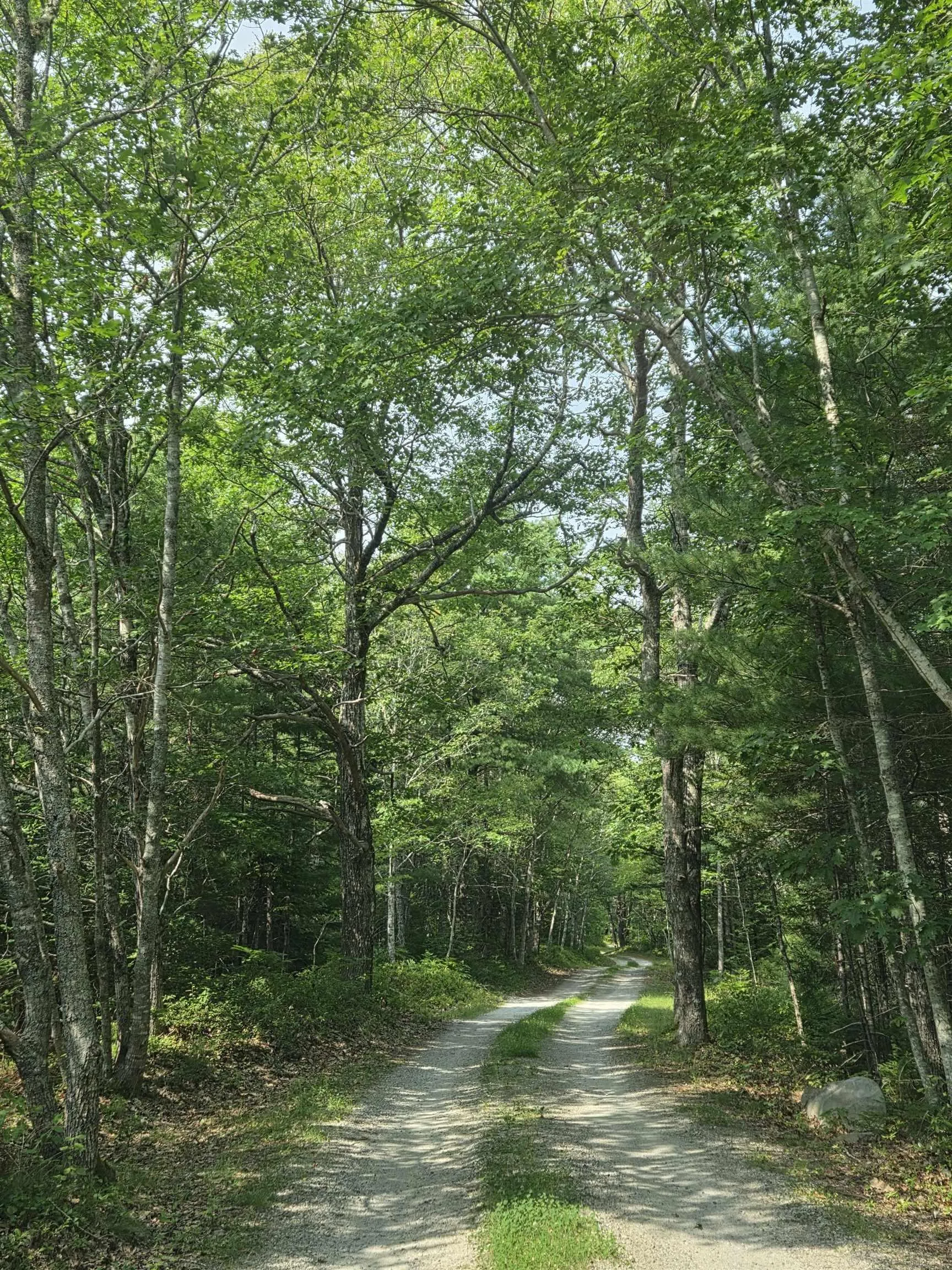Highway 103, Sable River, NS B0T 1W0, ,Land,For Sale,Highway 103,202520267