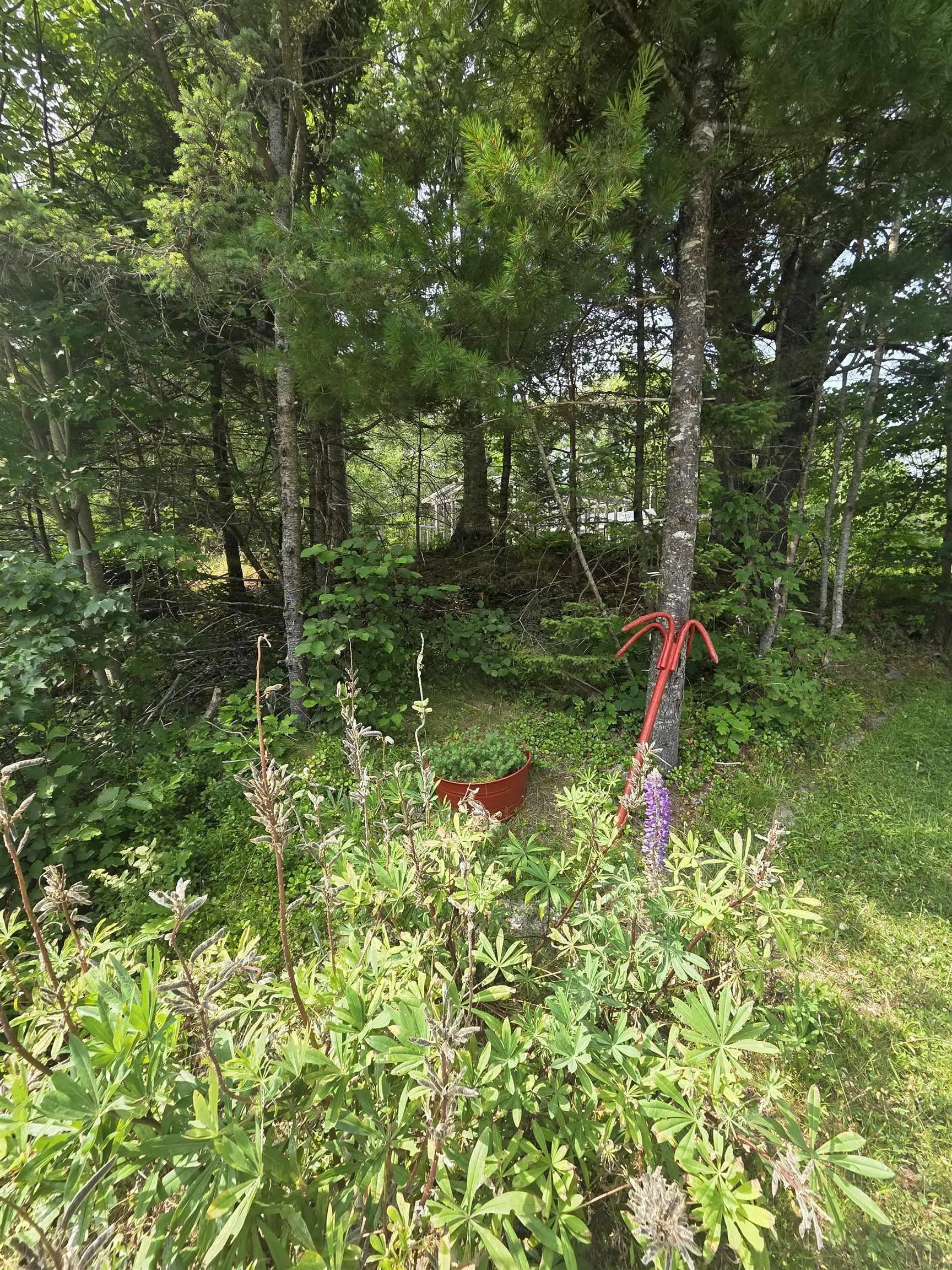 Highway 103, Sable River, NS B0T 1W0, ,Land,For Sale,Highway 103,202520267