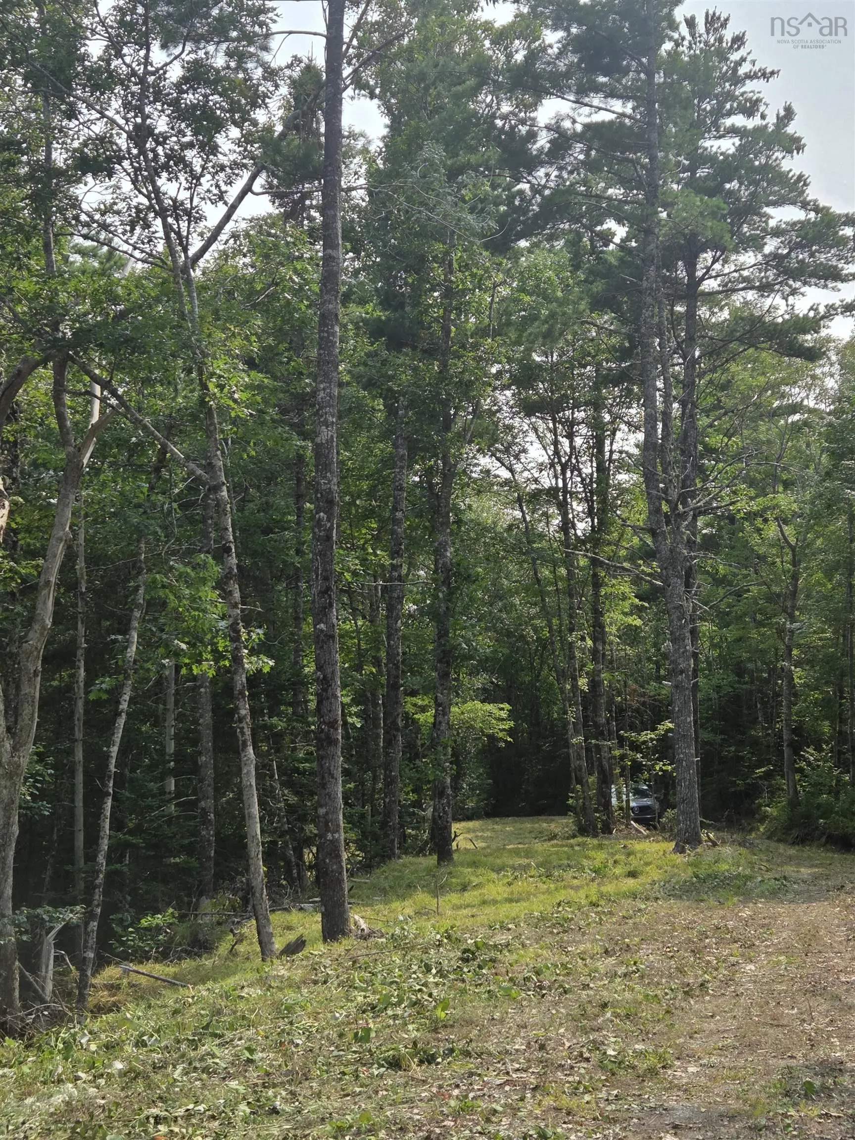 Highway 103, Sable River, NS B0T 1W0, ,Land,For Sale,Highway 103,202520267