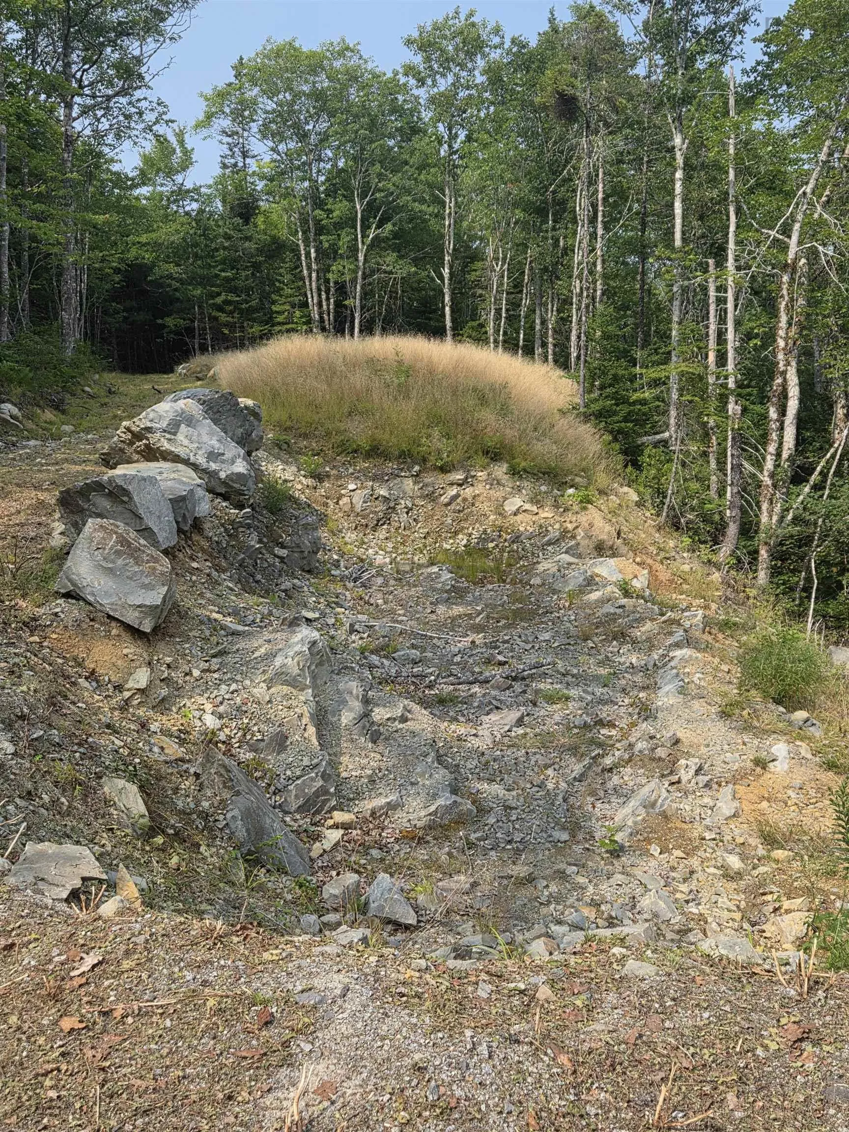 Highway 103, Sable River, NS B0T 1W0, ,Land,For Sale,Highway 103,202520267