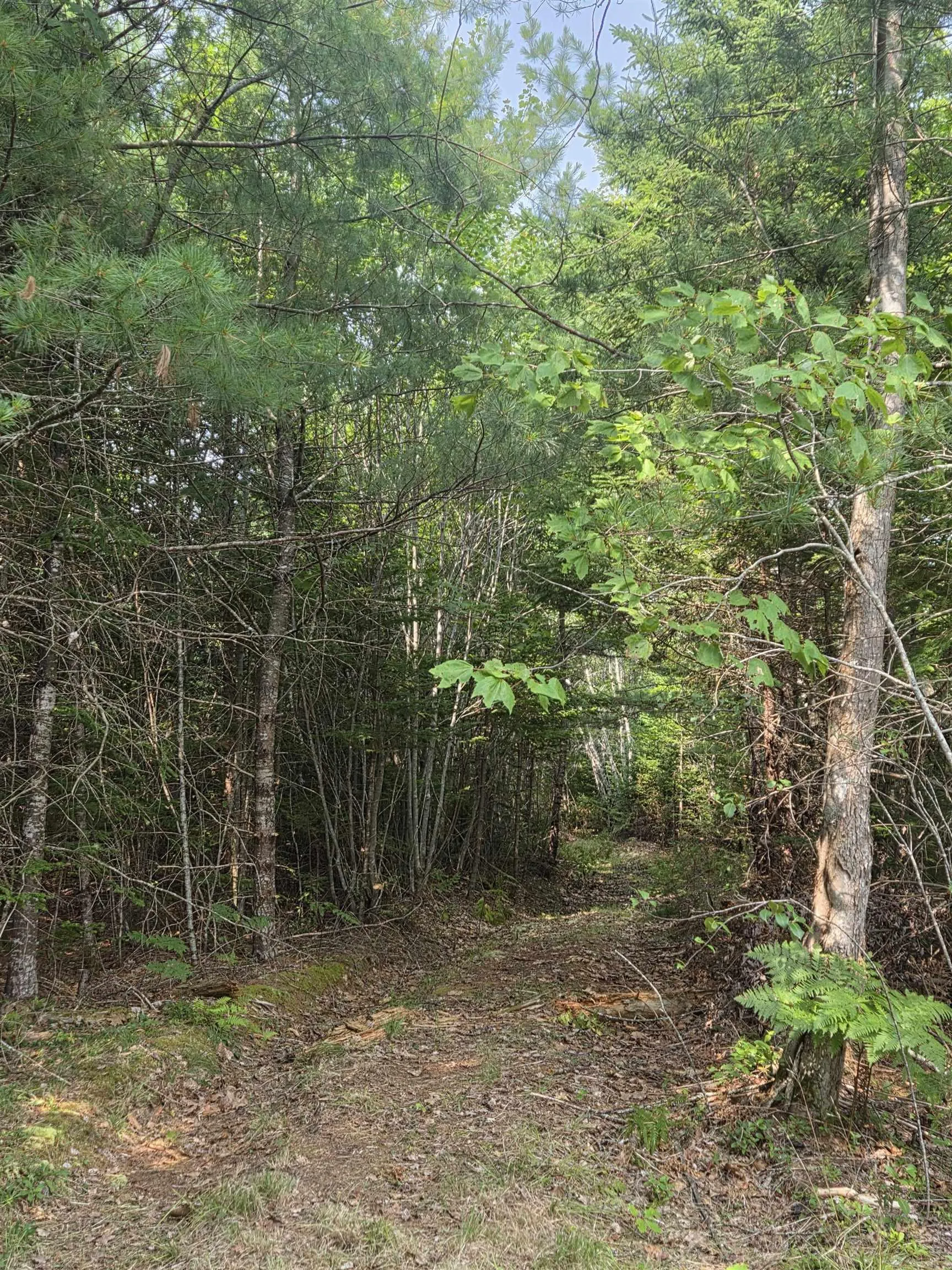 Highway 103, Sable River, NS B0T 1W0, ,Land,For Sale,Highway 103,202520267