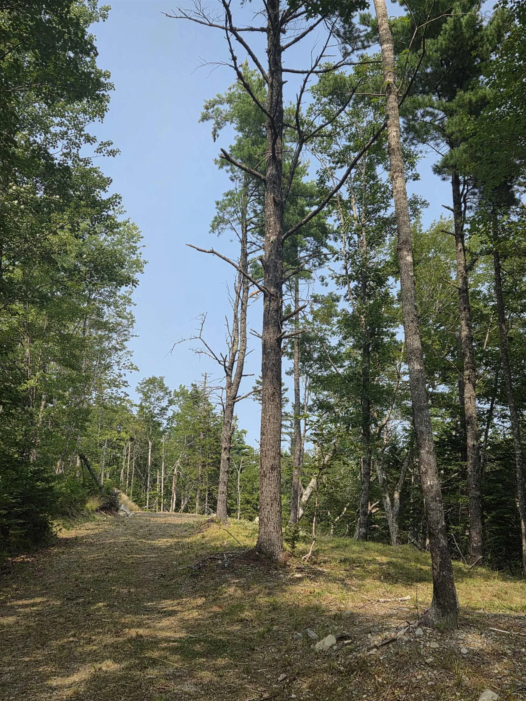 Highway 103, Sable River, NS B0T 1W0, ,Land,For Sale,Highway 103,202520267