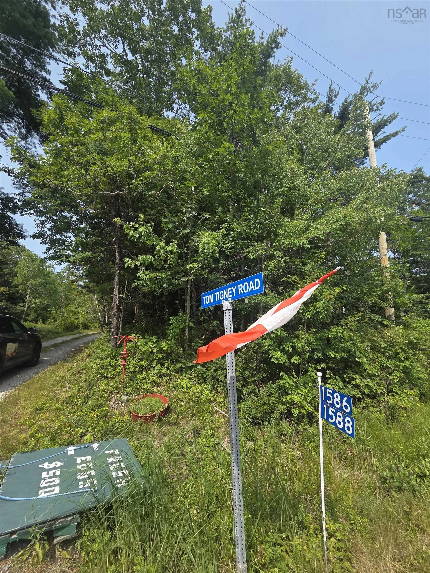 Highway 103, Sable River, NS B0T 1W0, ,Land,For Sale,Highway 103,202520267