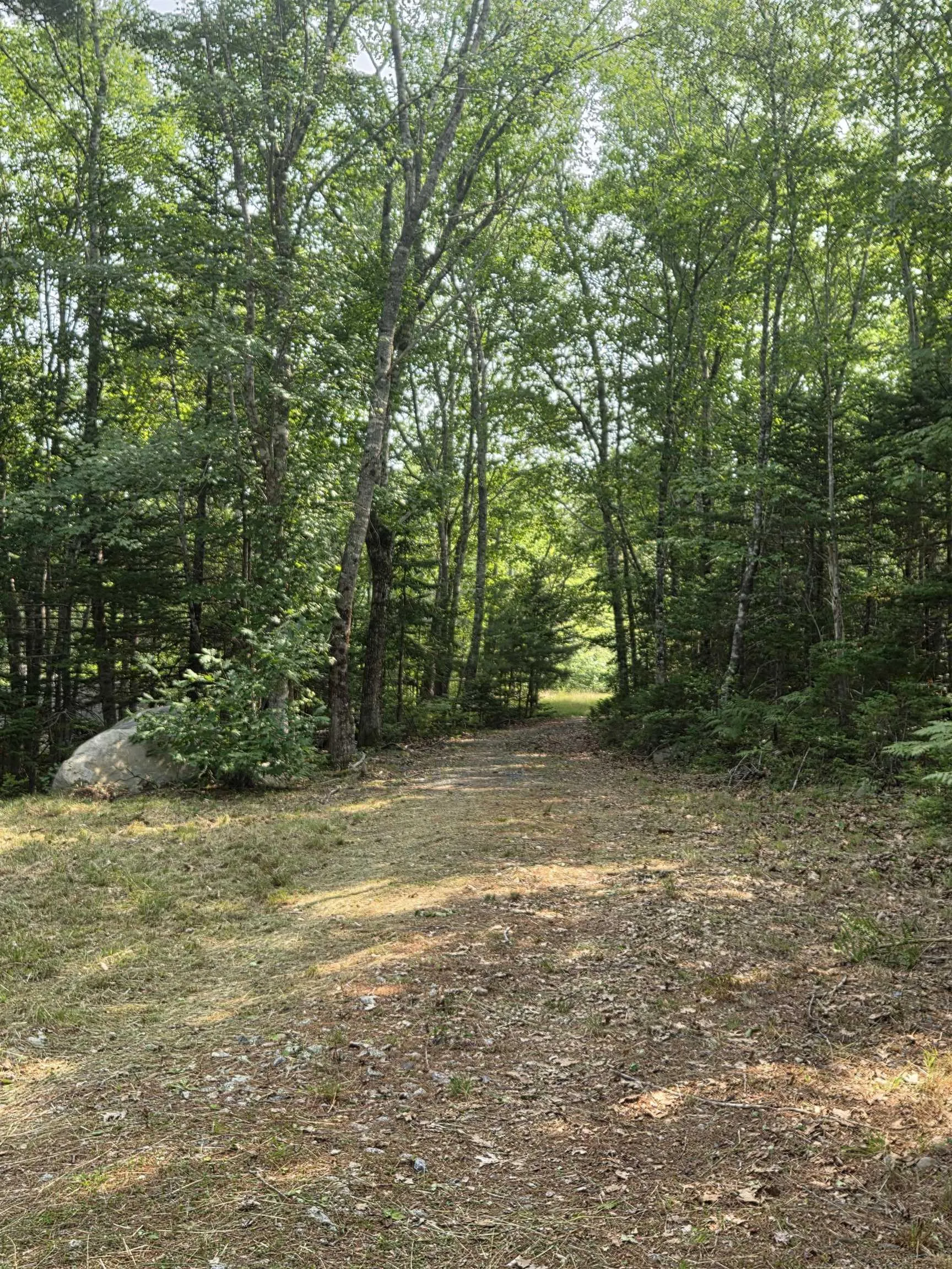 Highway 103, Sable River, NS B0T 1W0, ,Land,For Sale,Highway 103,202520267