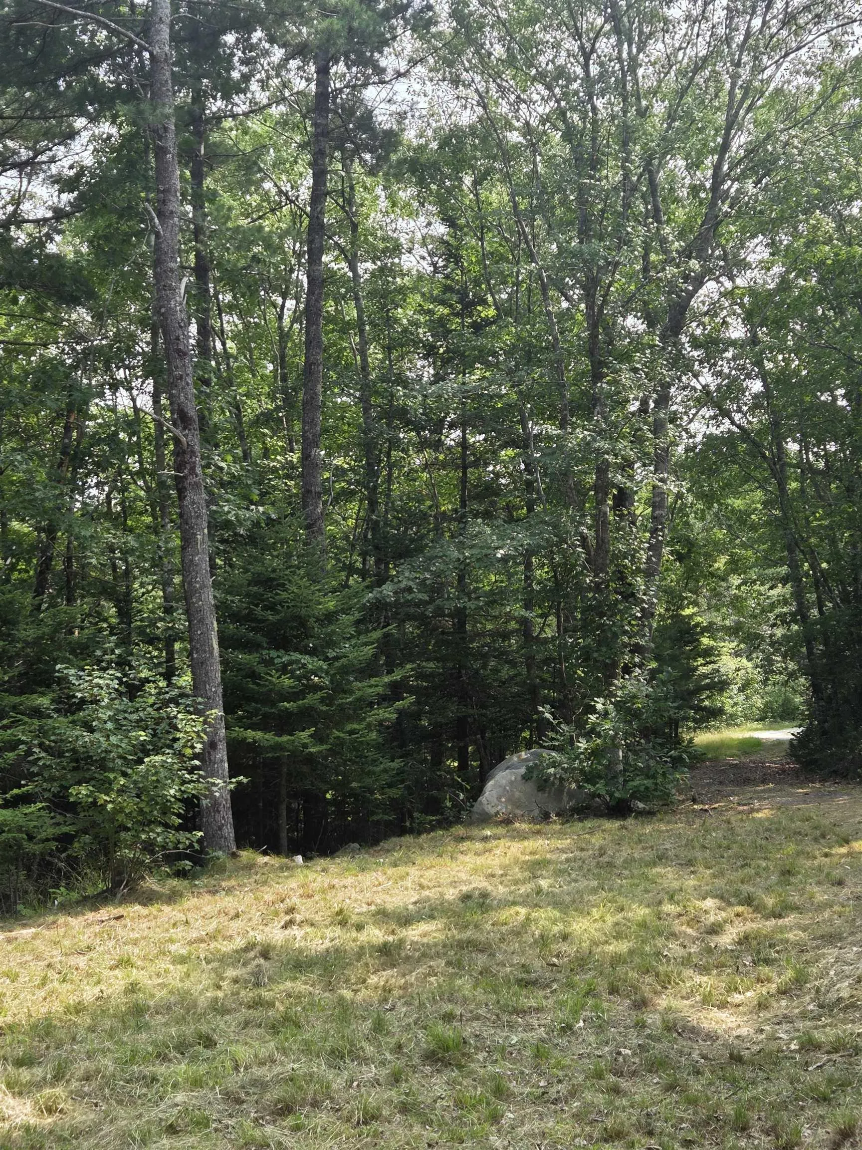 Highway 103, Sable River, NS B0T 1W0, ,Land,For Sale,Highway 103,202520267