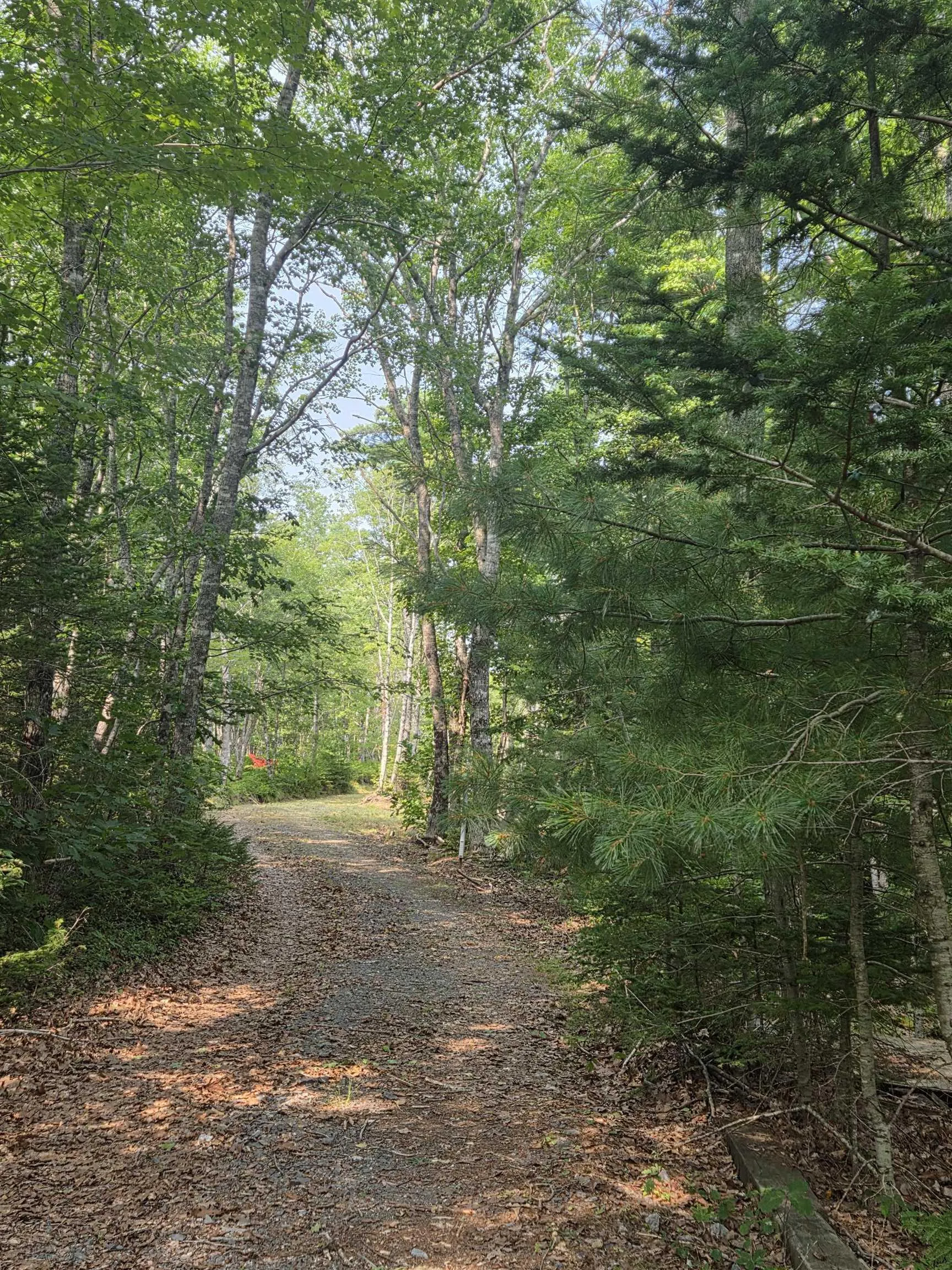 Highway 103, Sable River, NS B0T 1W0, ,Land,For Sale,Highway 103,202520267
