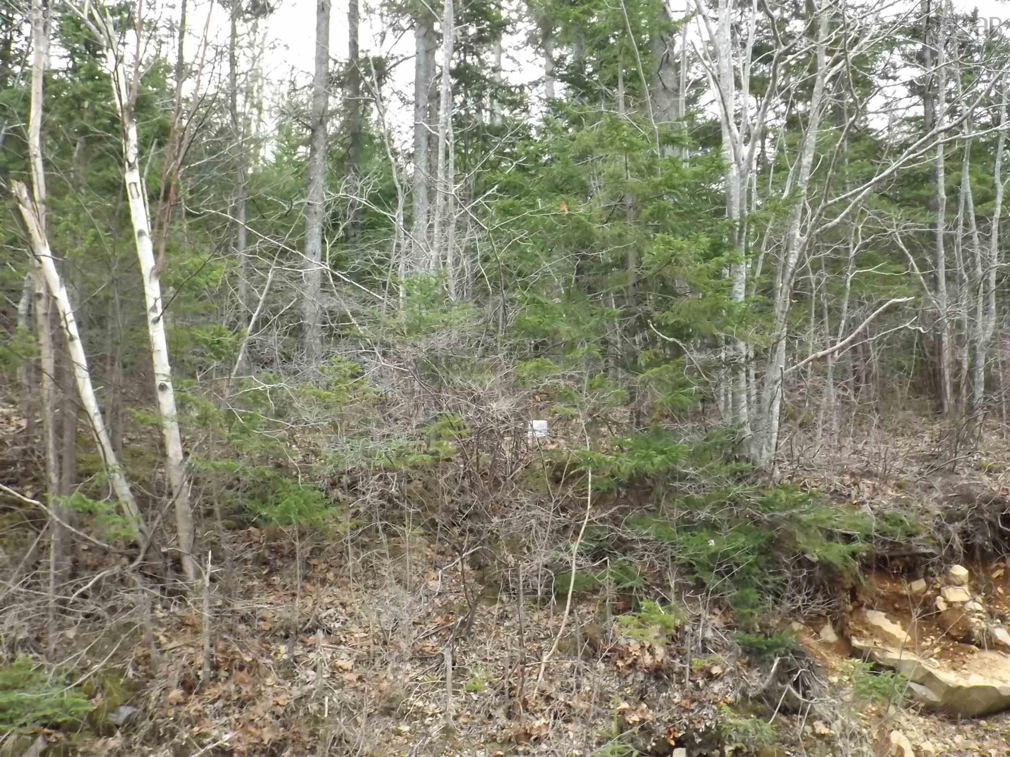 Roberts Island Road, Roberts Island NS B0W 1W0, ,Land,For Sale,Roberts Island Road,202223347