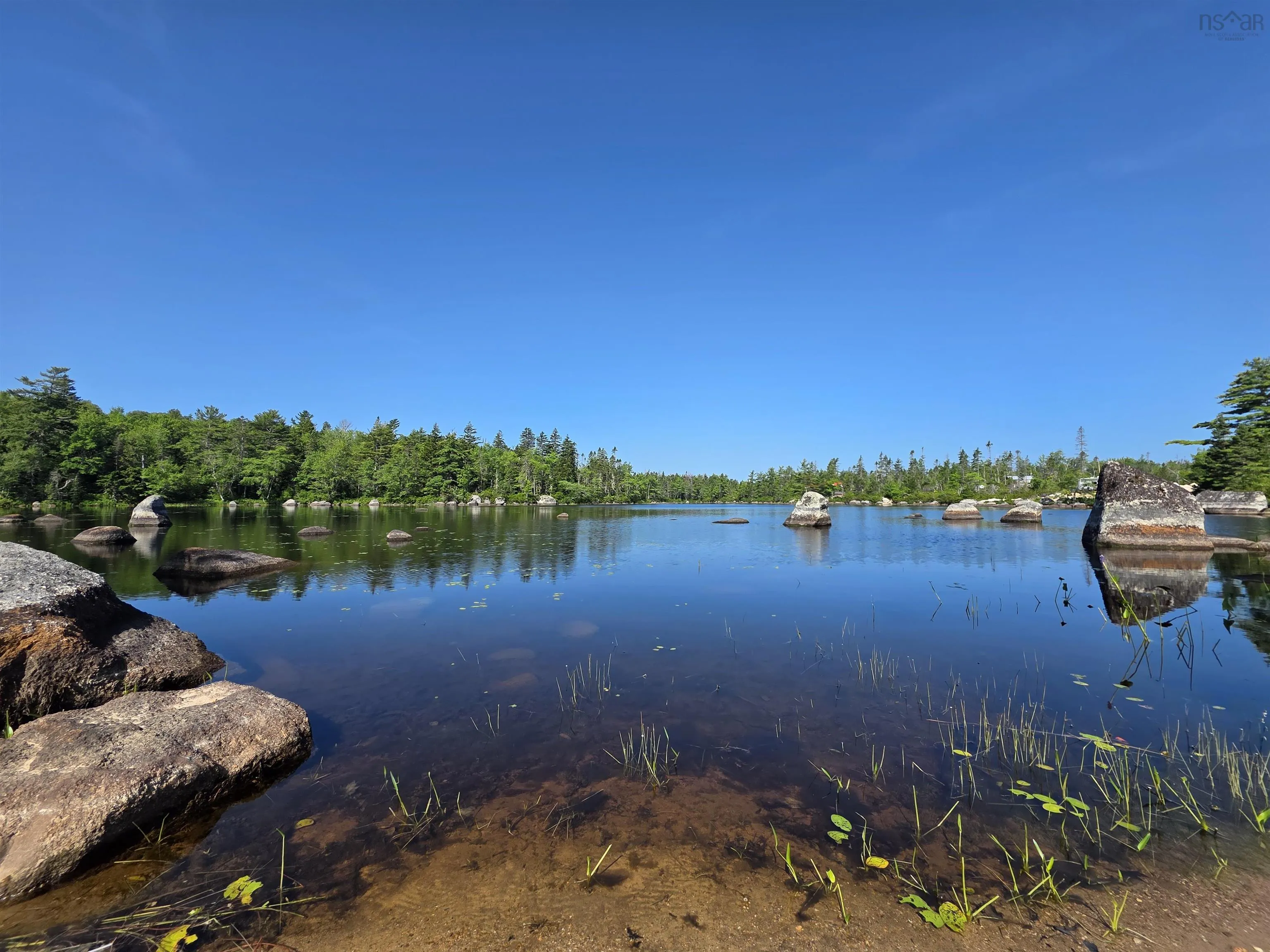 291 Charlton Road, West Springhill, NS B0S 1A0, ,Land,For Sale,Charlton,202518892