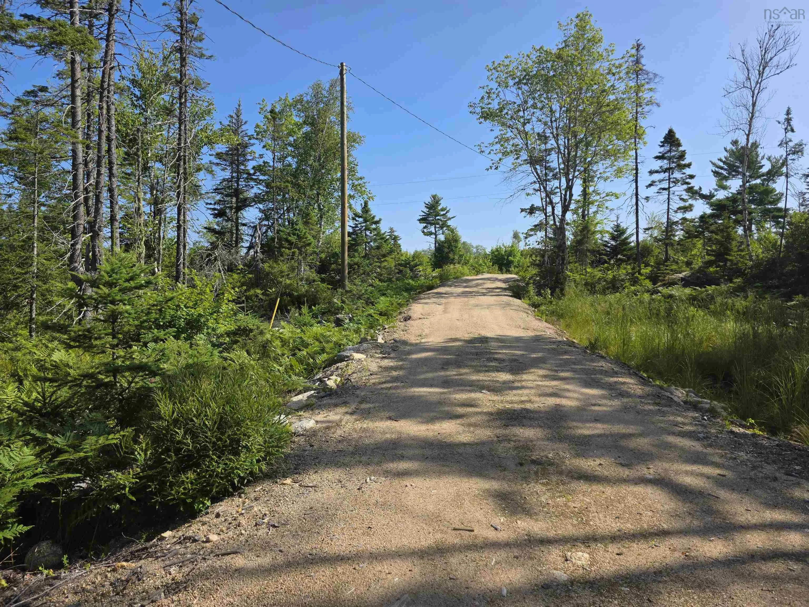 291 Charlton Road, West Springhill, NS B0S 1A0, ,Land,For Sale,Charlton,202518892