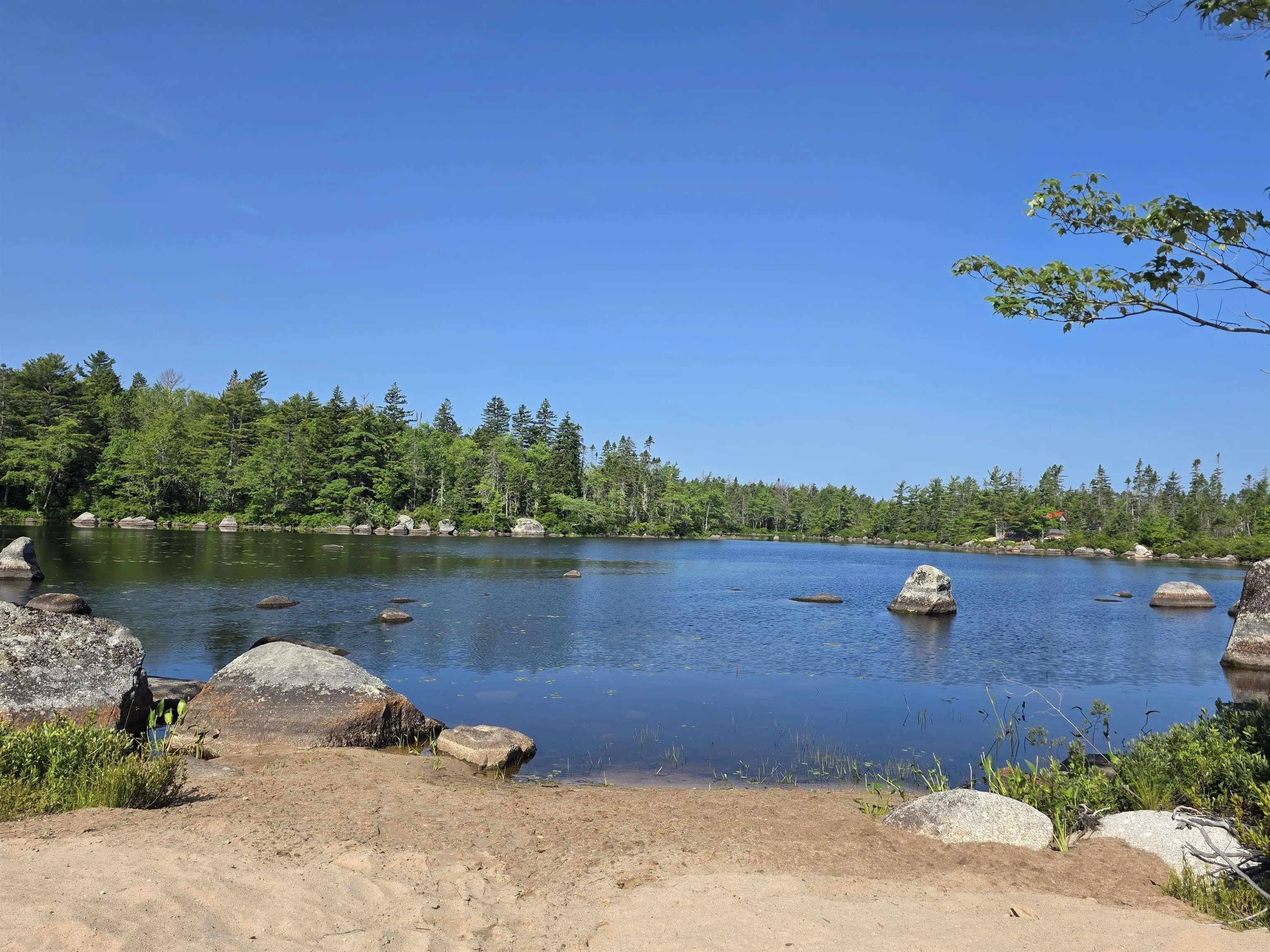 291 Charlton Road, West Springhill, NS B0S 1A0, ,Land,For Sale,Charlton,202518892