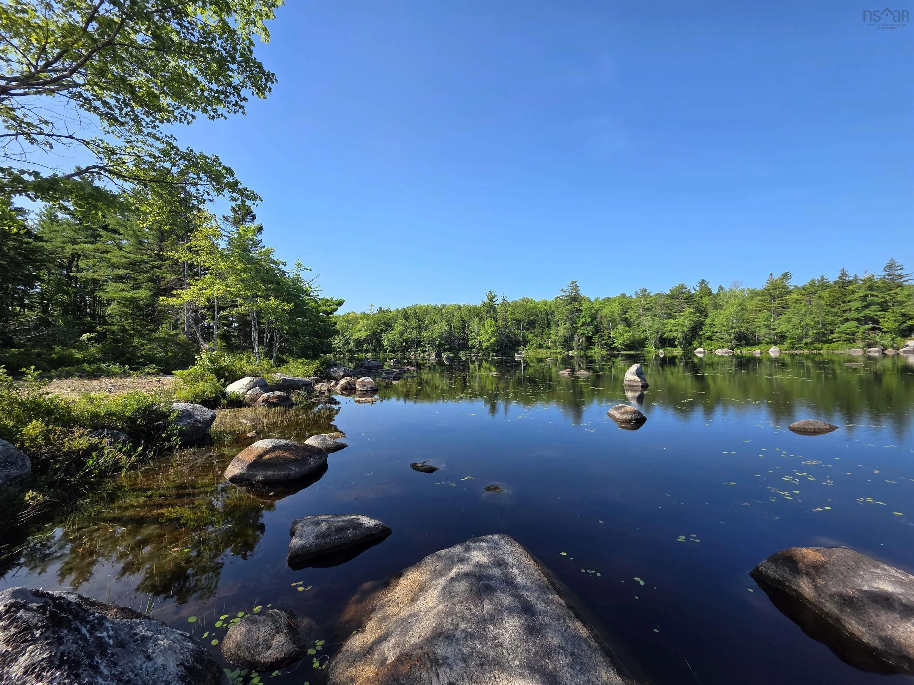 291 Charlton Road, West Springhill, NS B0S 1A0, ,Land,For Sale,Charlton,202518892