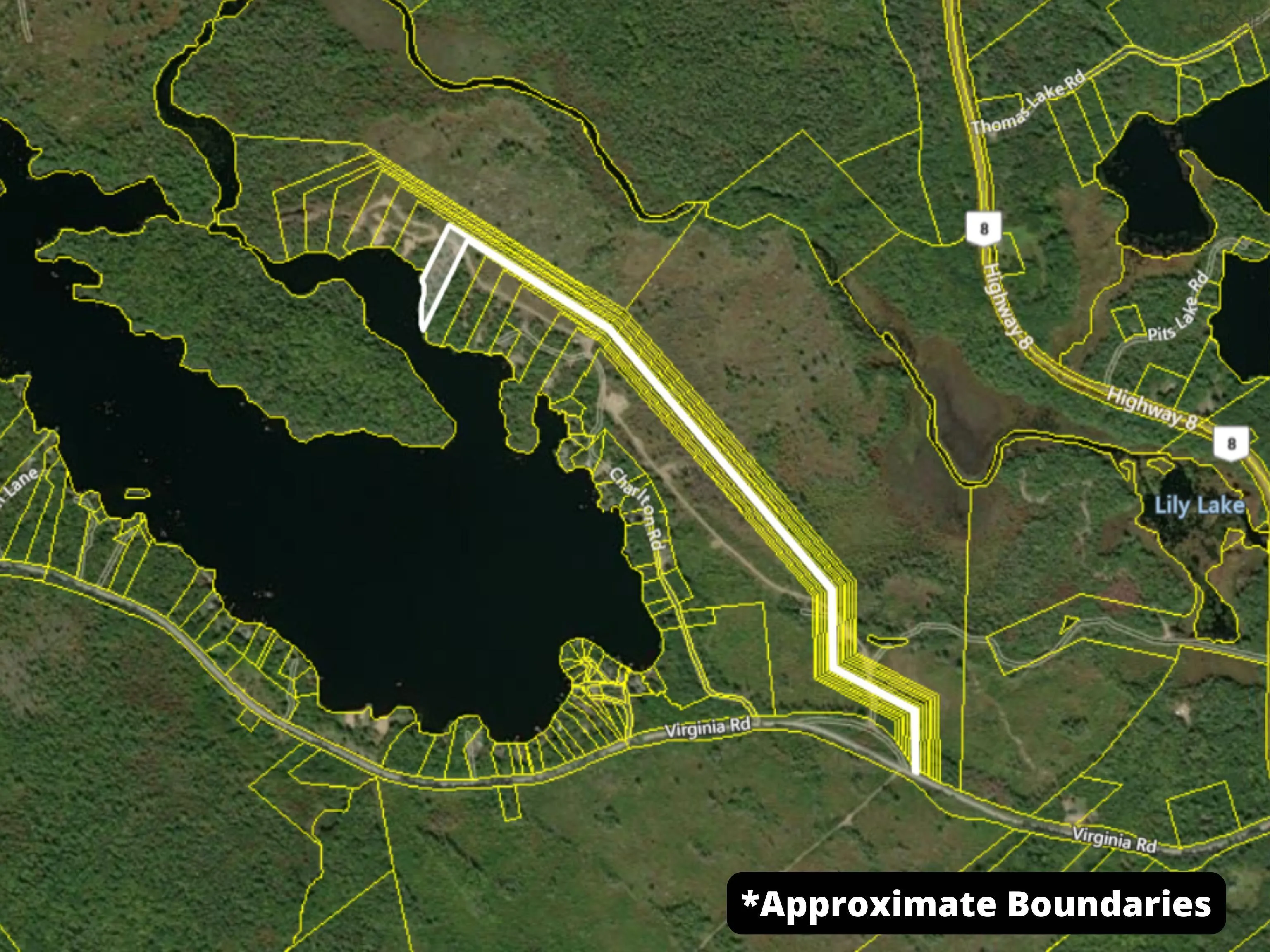 291 Charlton Road, West Springhill, NS B0S 1A0, ,Land,For Sale,Charlton,202518892