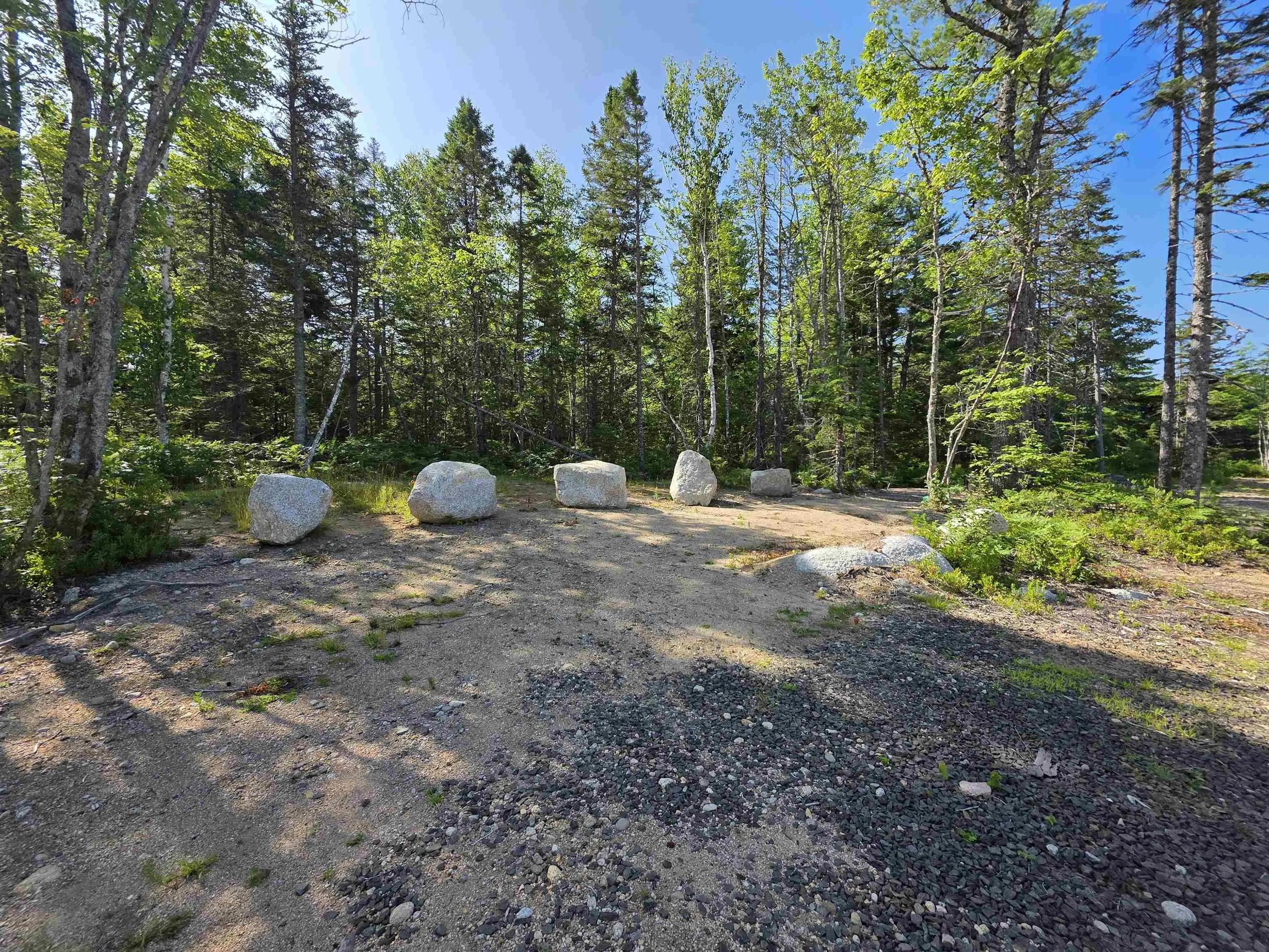 291 Charlton Road, West Springhill, NS B0S 1A0, ,Land,For Sale,Charlton,202518892