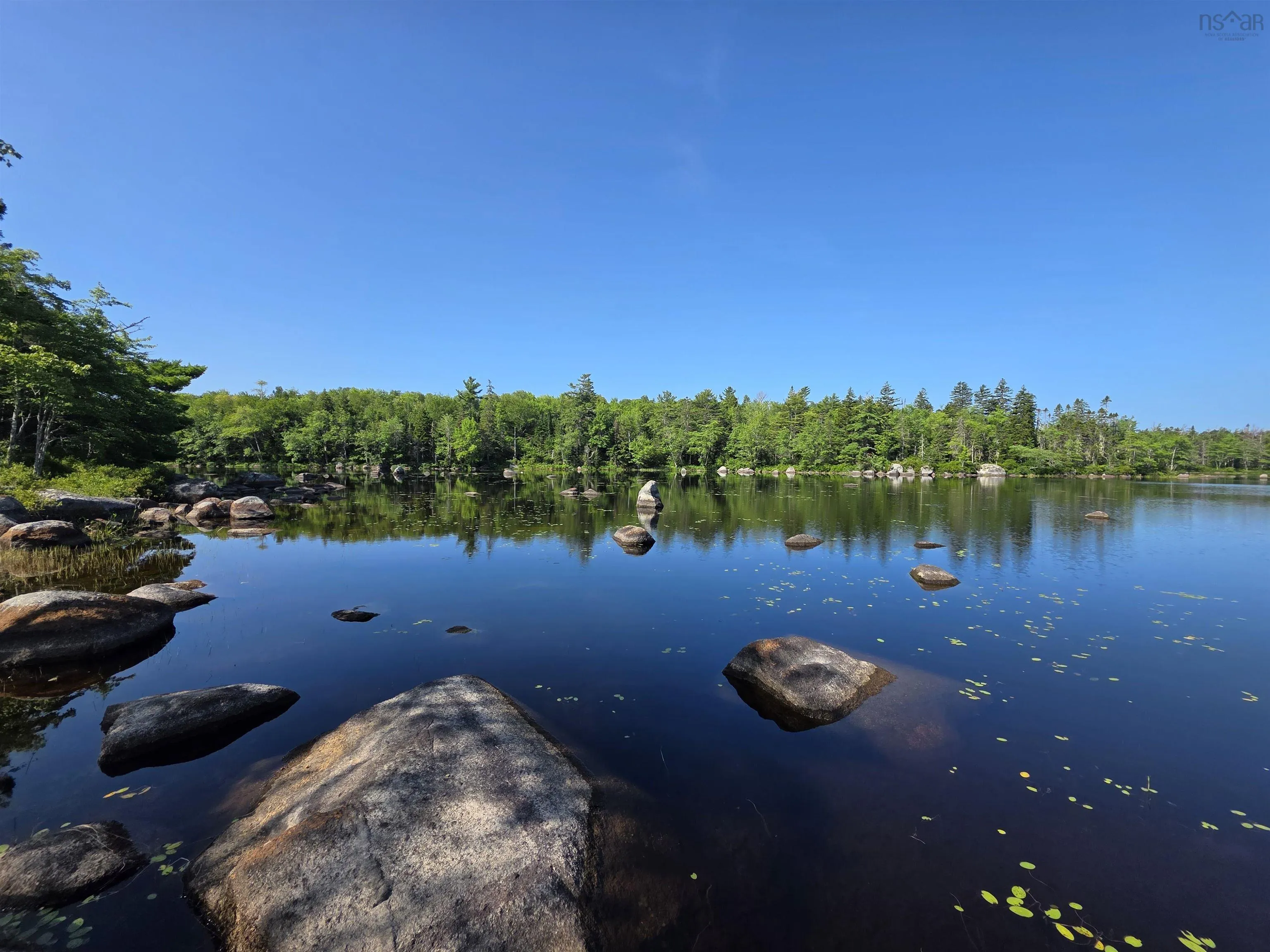 291 Charlton Road, West Springhill, NS B0S 1A0, ,Land,For Sale,Charlton,202518892