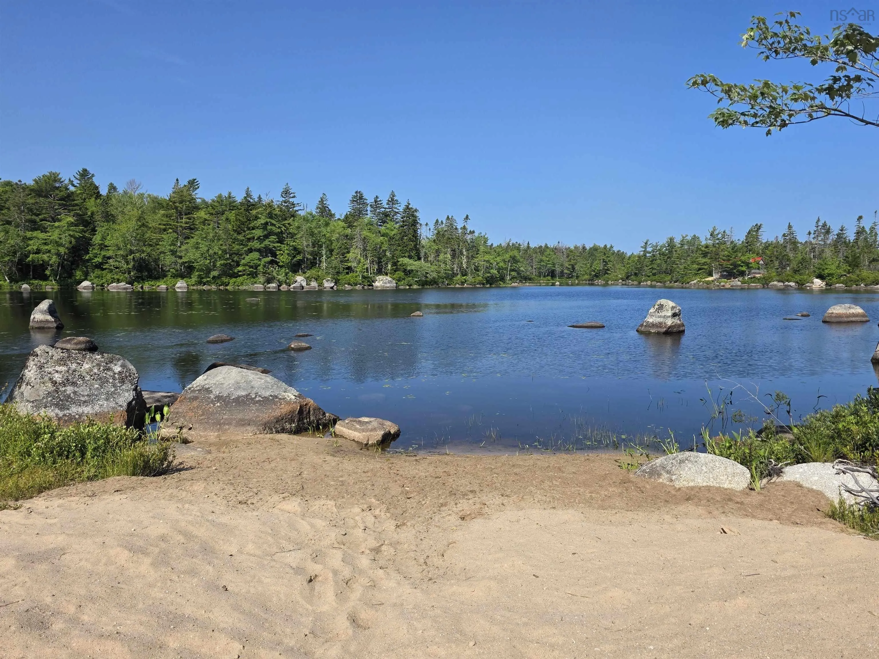 291 Charlton Road, West Springhill, NS B0S 1A0, ,Land,For Sale,Charlton,202518892