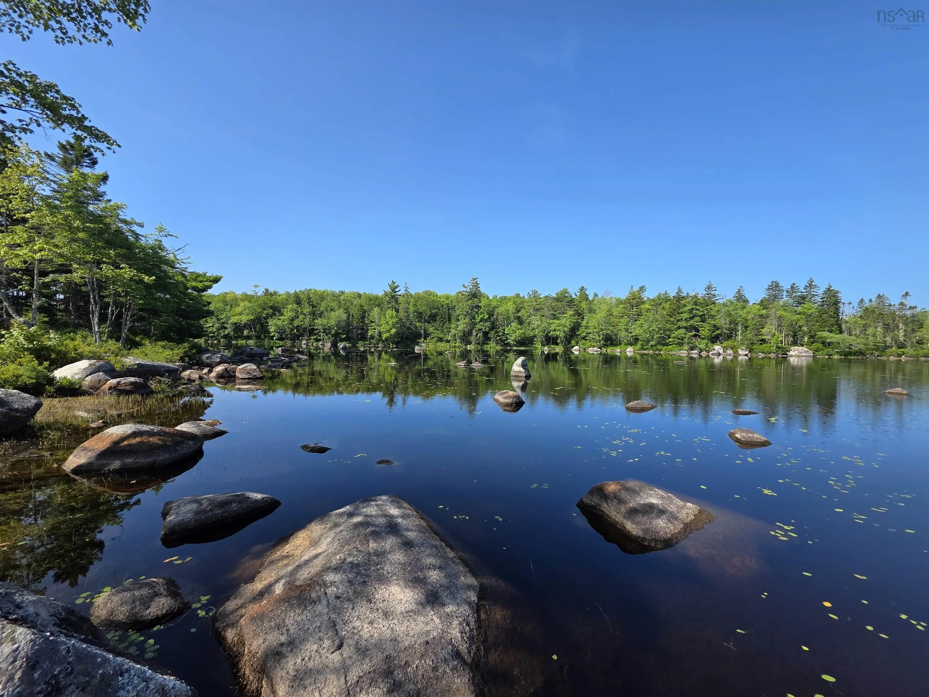291 Charlton Road, West Springhill, NS B0S 1A0, ,Land,For Sale,Charlton,202518892