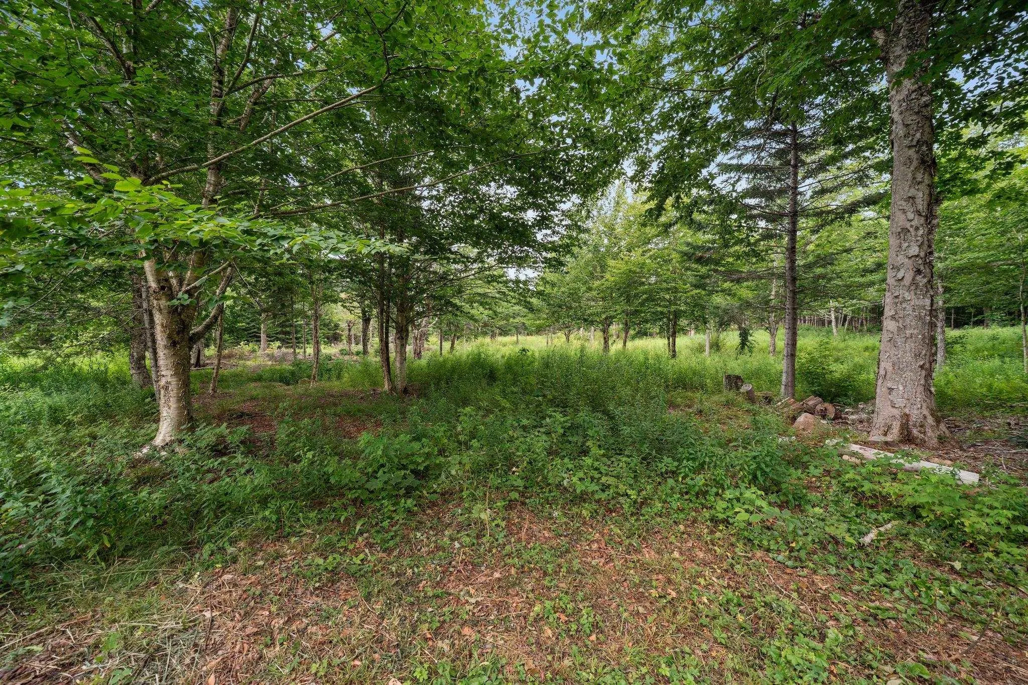 1057 Kemptown Road, Kemptown, NS B6L 2J1, 2 Bedrooms Bedrooms, ,1 BathroomBathrooms,Residential,For Sale,Kemptown,202520641