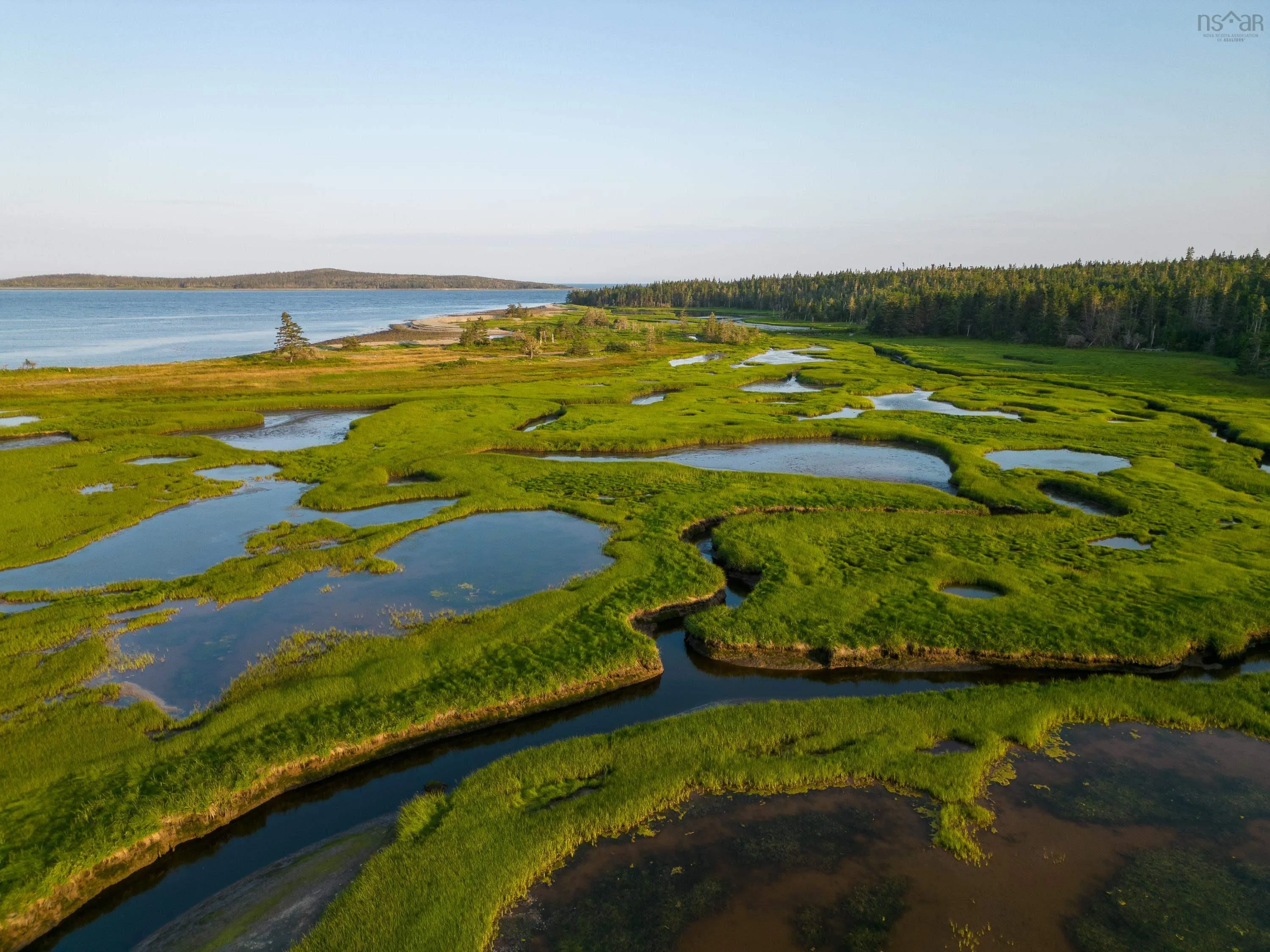 Lot 1 Conrod Beach Road, Lower East Chezzetcook, NS B0J 2L0, ,Land,For Sale,Conrod Beach,202511605