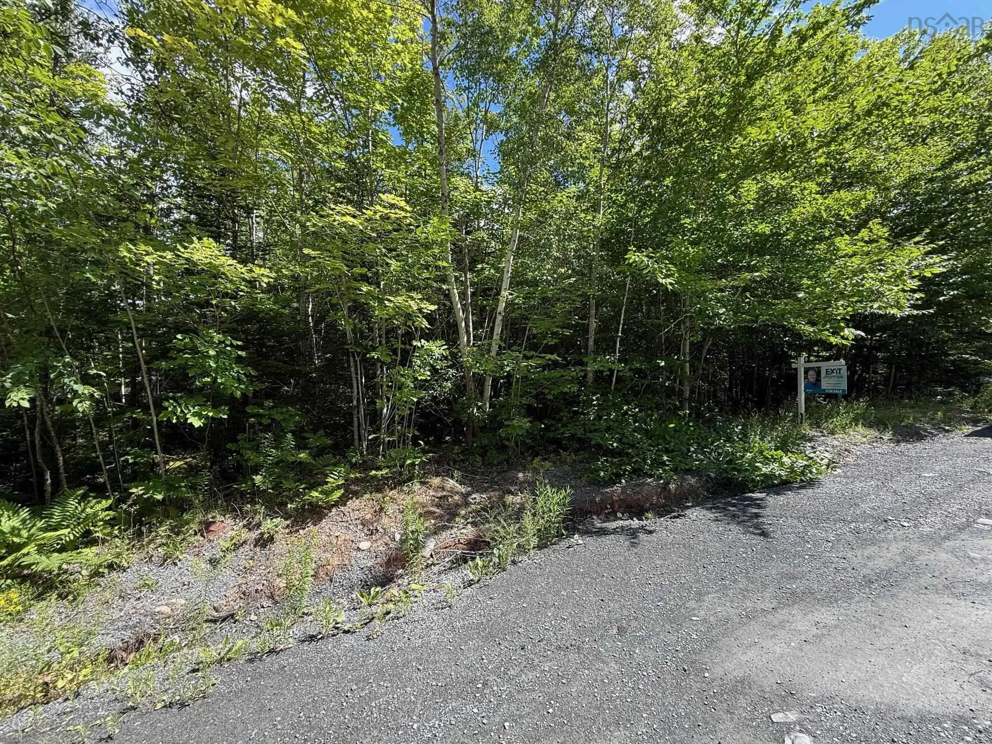 104 Kelly Road, Wellington, NS B2T 1B6, ,Land,For Sale,Kelly,202518462