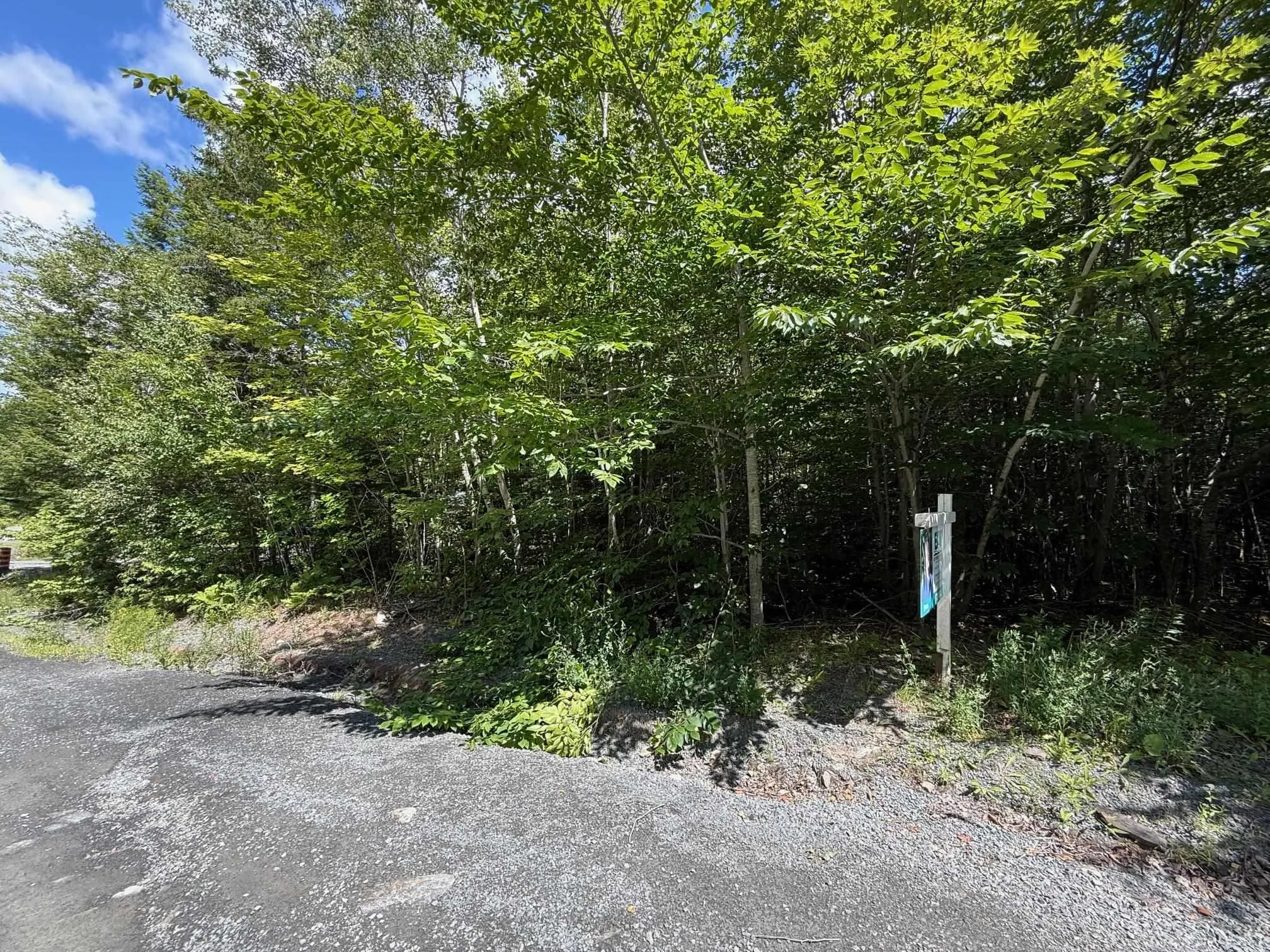 104 Kelly Road, Wellington, NS B2T 1B6, ,Land,For Sale,Kelly,202518462