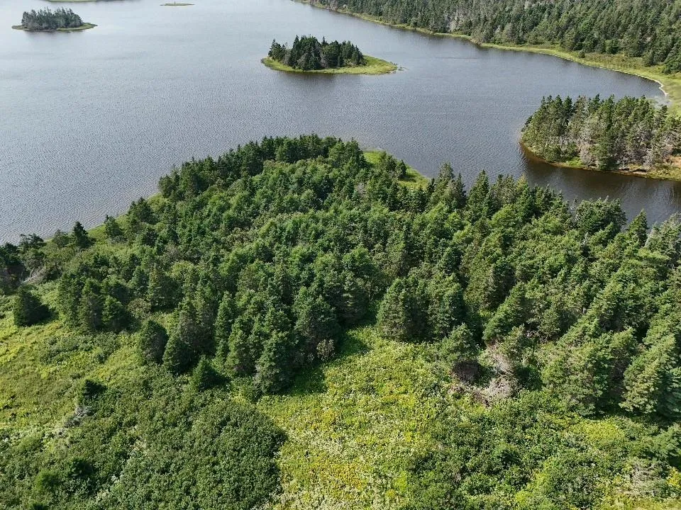 08-4 Crooked Lake Road, Framboise Ns B2j 1c4, ,Land,For Sale,Crooked Lake,202421000