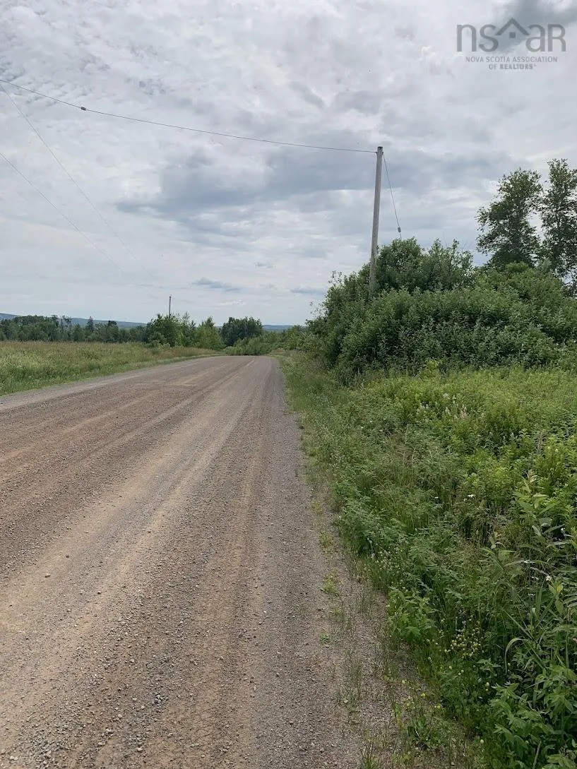 Lot 4 Hunter Road, West Wentworth, NS B0M 1Z0, ,Land,For Sale,Hunter Road,202517868