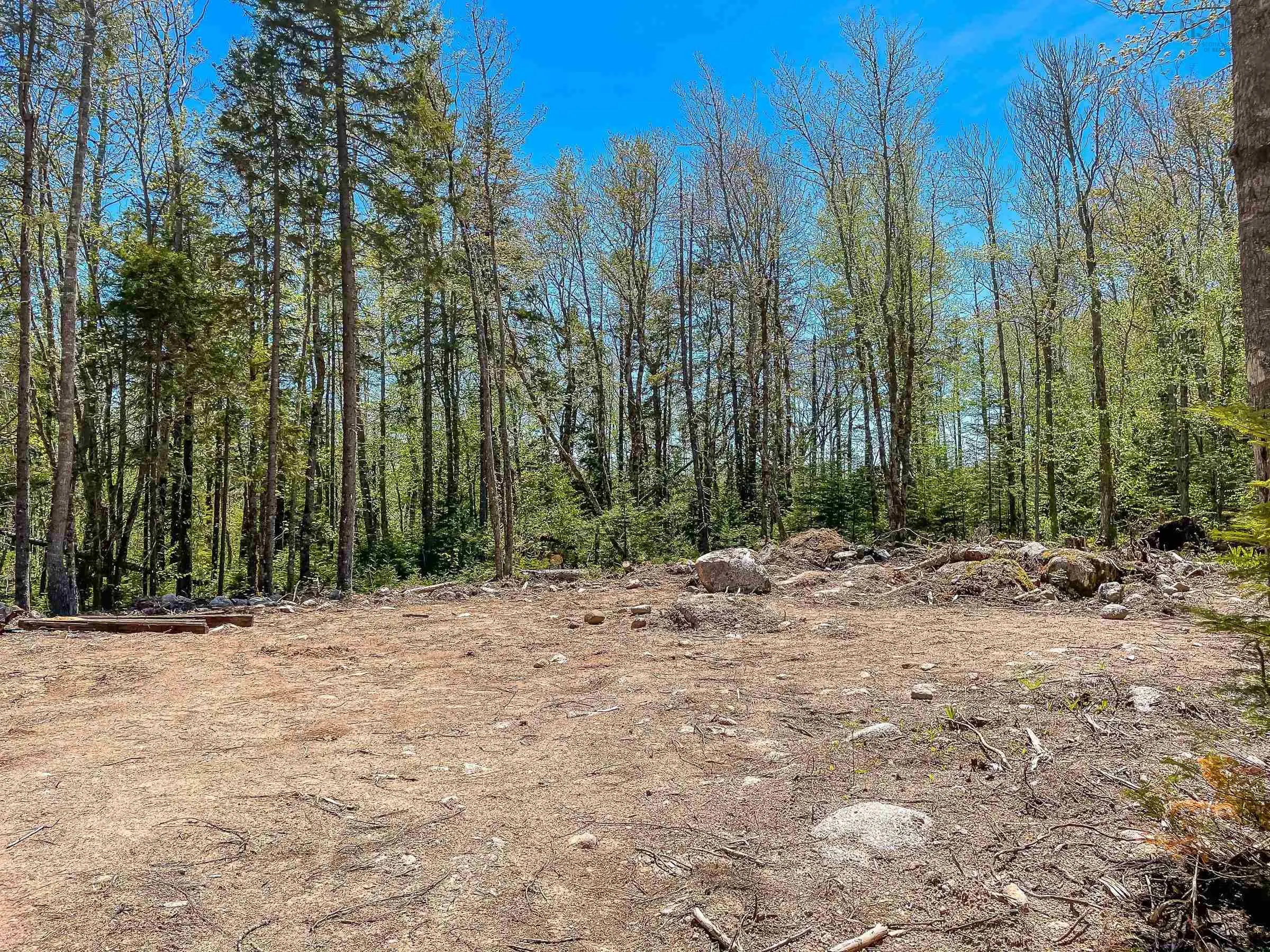 Loon Lane Lot 24, Aylesford Lake Ns B0p 1c0, ,Land,For Sale,Loon,202424623