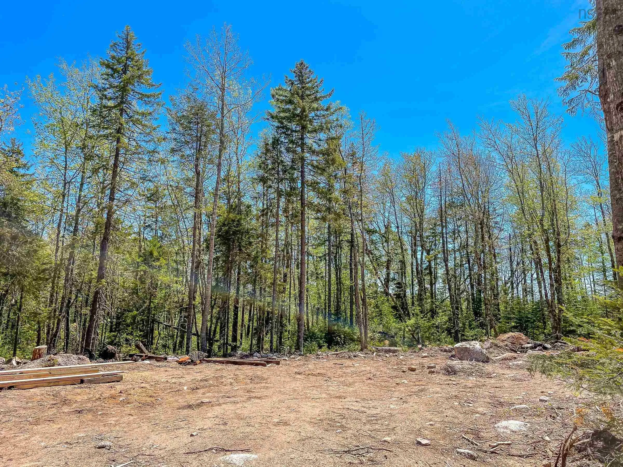 Loon Lane Lot 24, Aylesford Lake Ns B0p 1c0, ,Land,For Sale,Loon,202424623