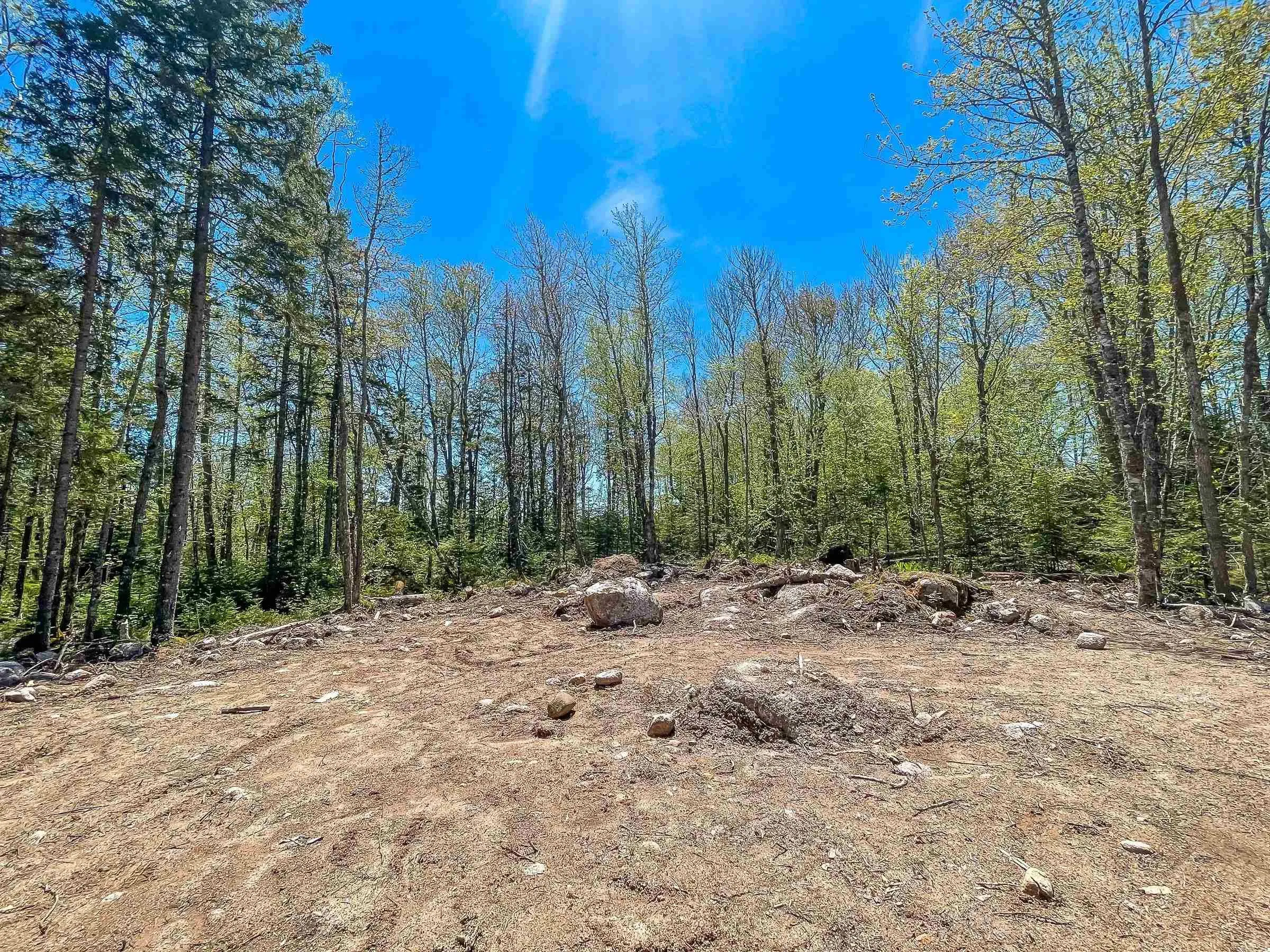 Loon Lane Lot 24, Aylesford Lake Ns B0p 1c0, ,Land,For Sale,Loon,202424623
