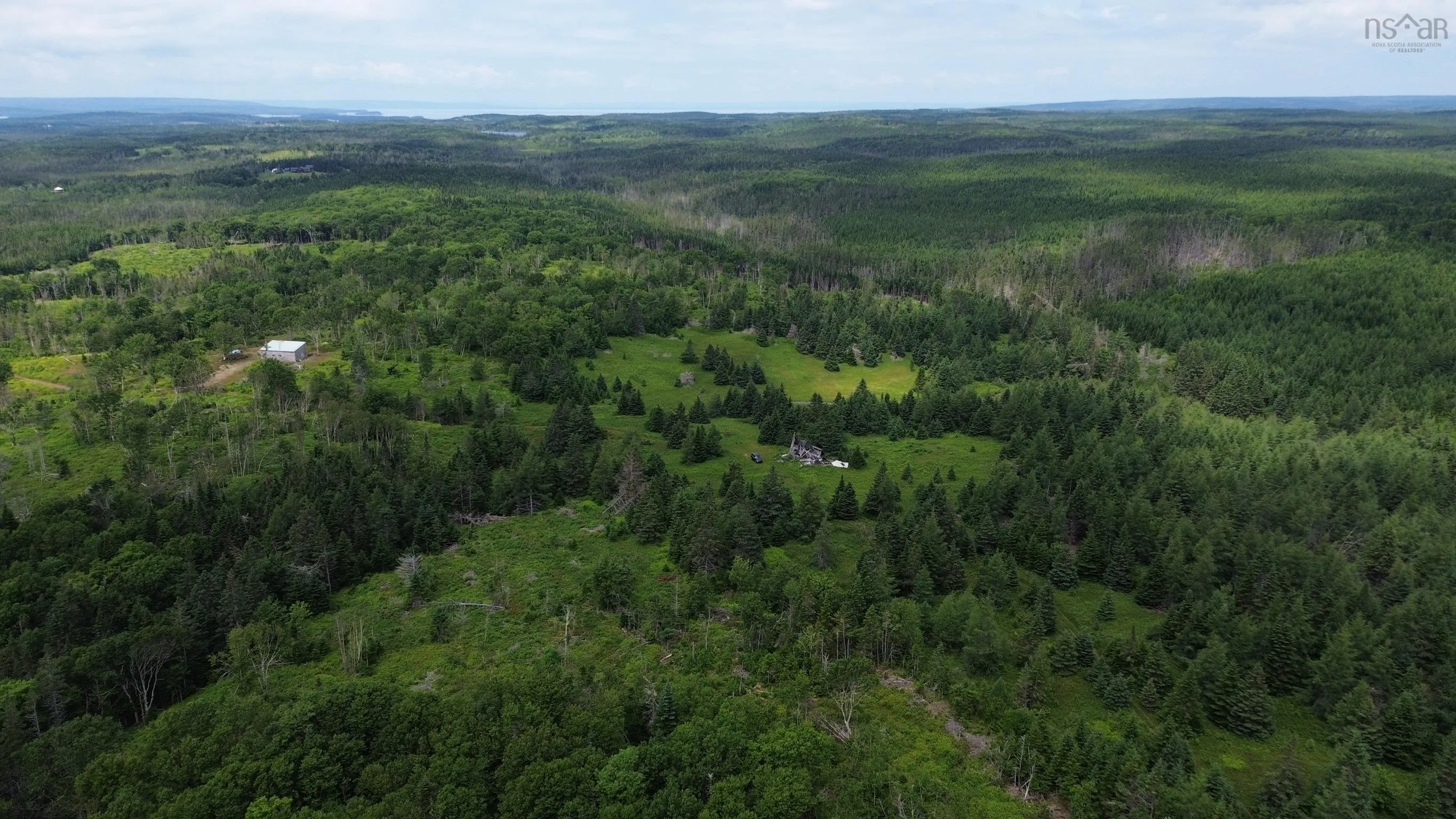 Lot Shaws Road, Lewis Cove Road NS B0E 3B0, ,Land,For Sale,Shaws,202325236