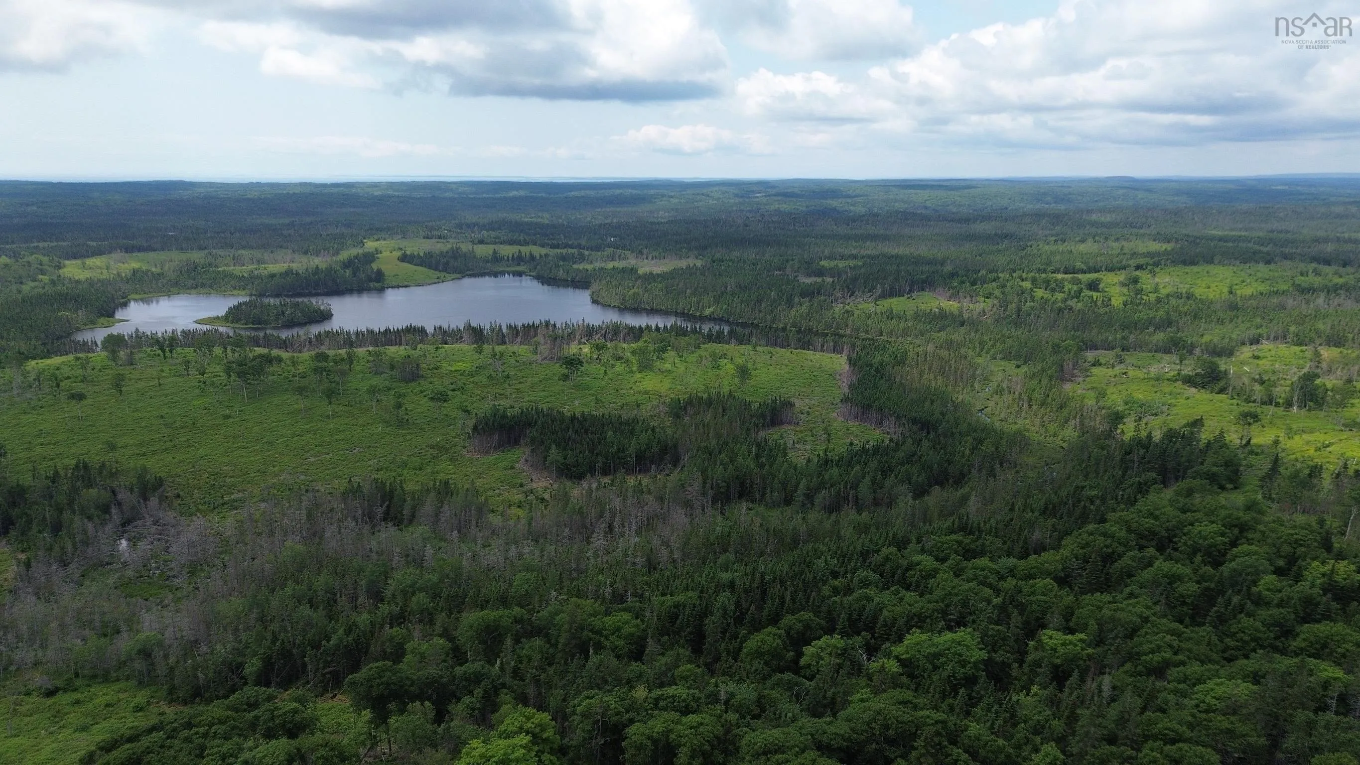 Lot Shaws Road, Lewis Cove Road NS B0E 3B0, ,Land,For Sale,Shaws,202325236