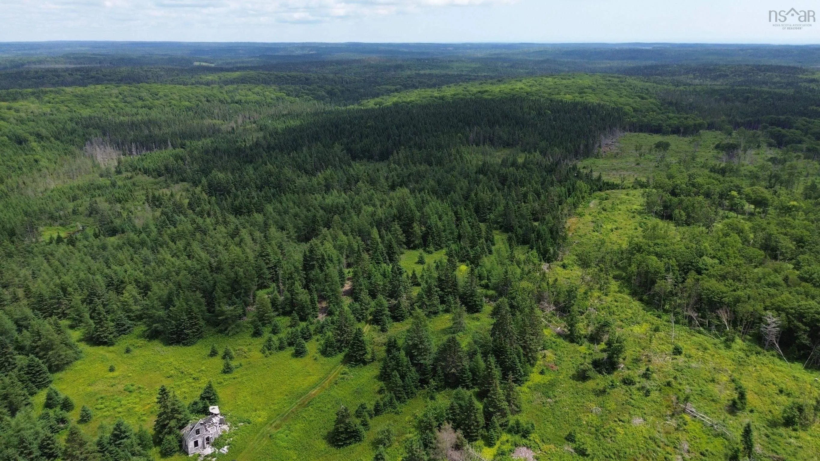 Lot Shaws Road, Lewis Cove Road NS B0E 3B0, ,Land,For Sale,Shaws,202325236