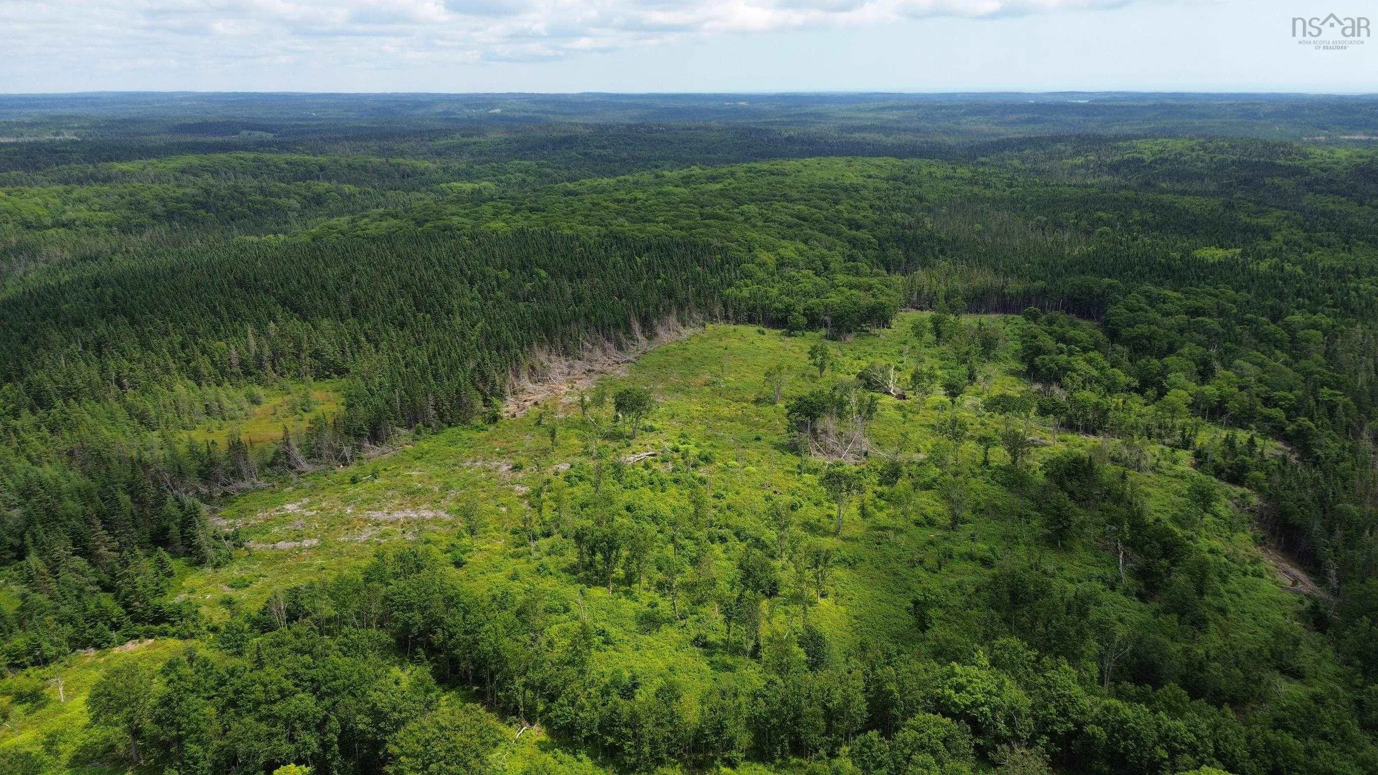 Lot Shaws Road, Lewis Cove Road NS B0E 3B0, ,Land,For Sale,Shaws,202325236