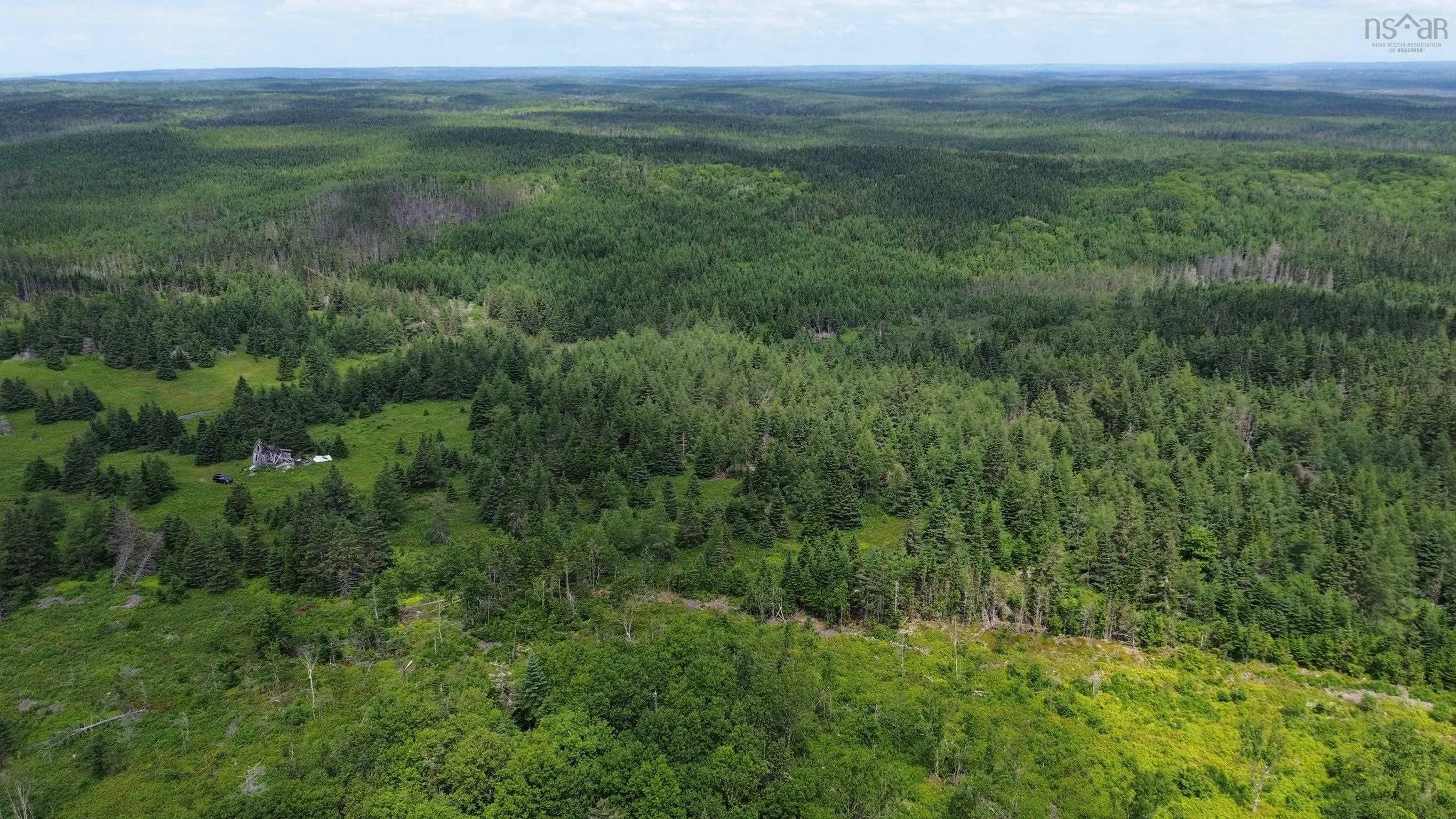 Lot Shaws Road, Lewis Cove Road NS B0E 3B0, ,Land,For Sale,Shaws,202325236