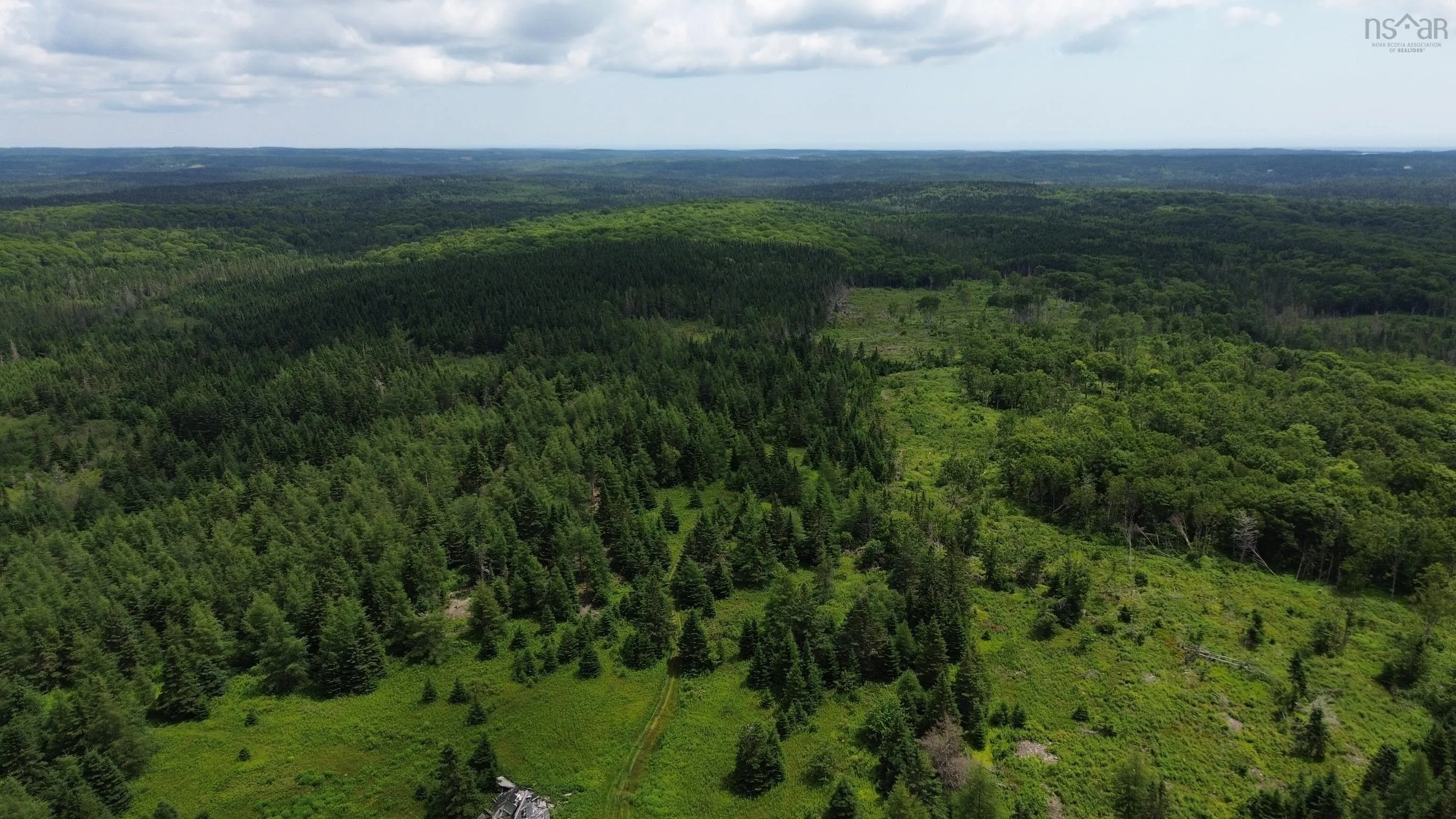 Lot Shaws Road, Lewis Cove Road NS B0E 3B0, ,Land,For Sale,Shaws,202325236
