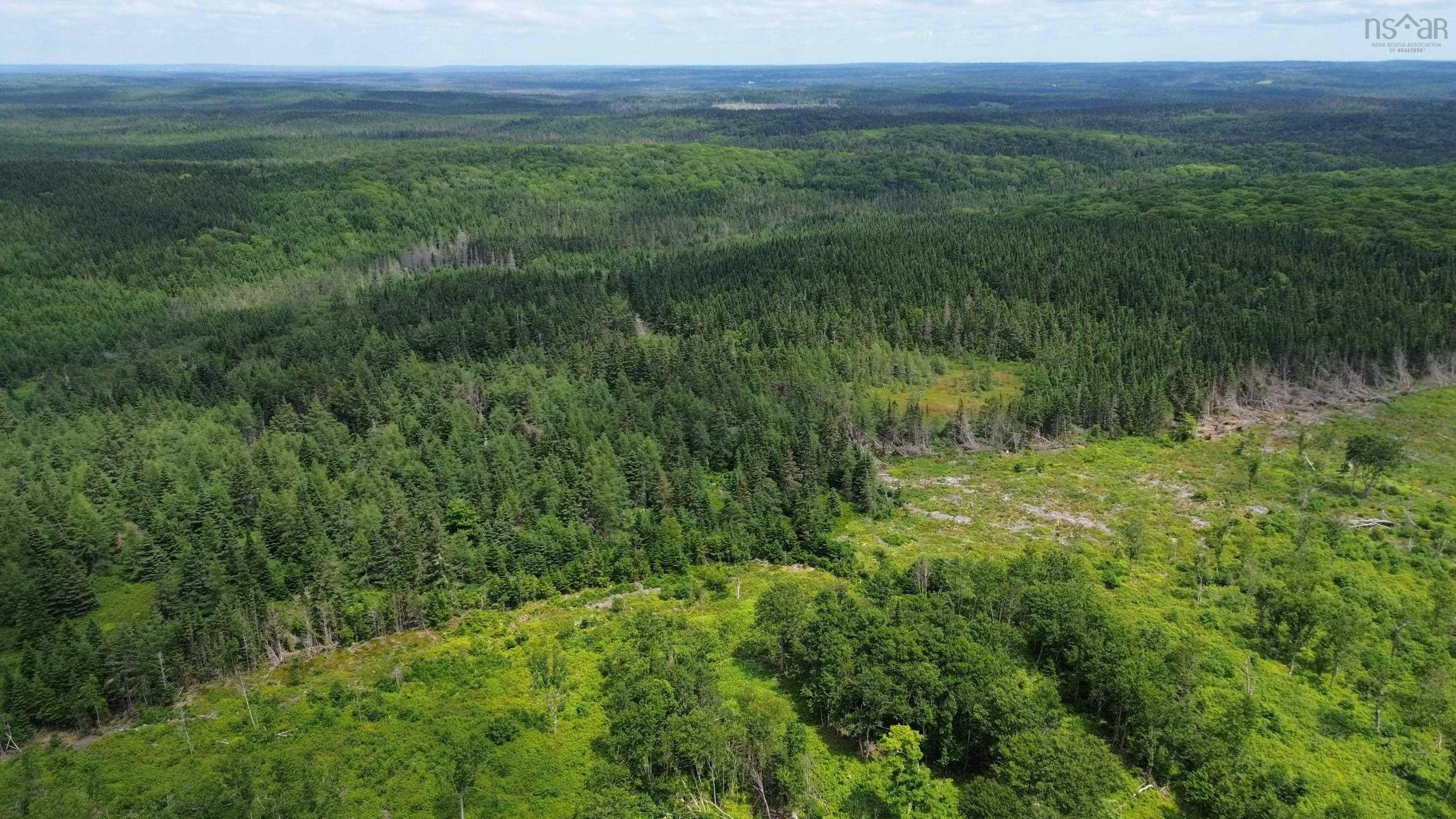 Lot Shaws Road, Lewis Cove Road NS B0E 3B0, ,Land,For Sale,Shaws,202325236
