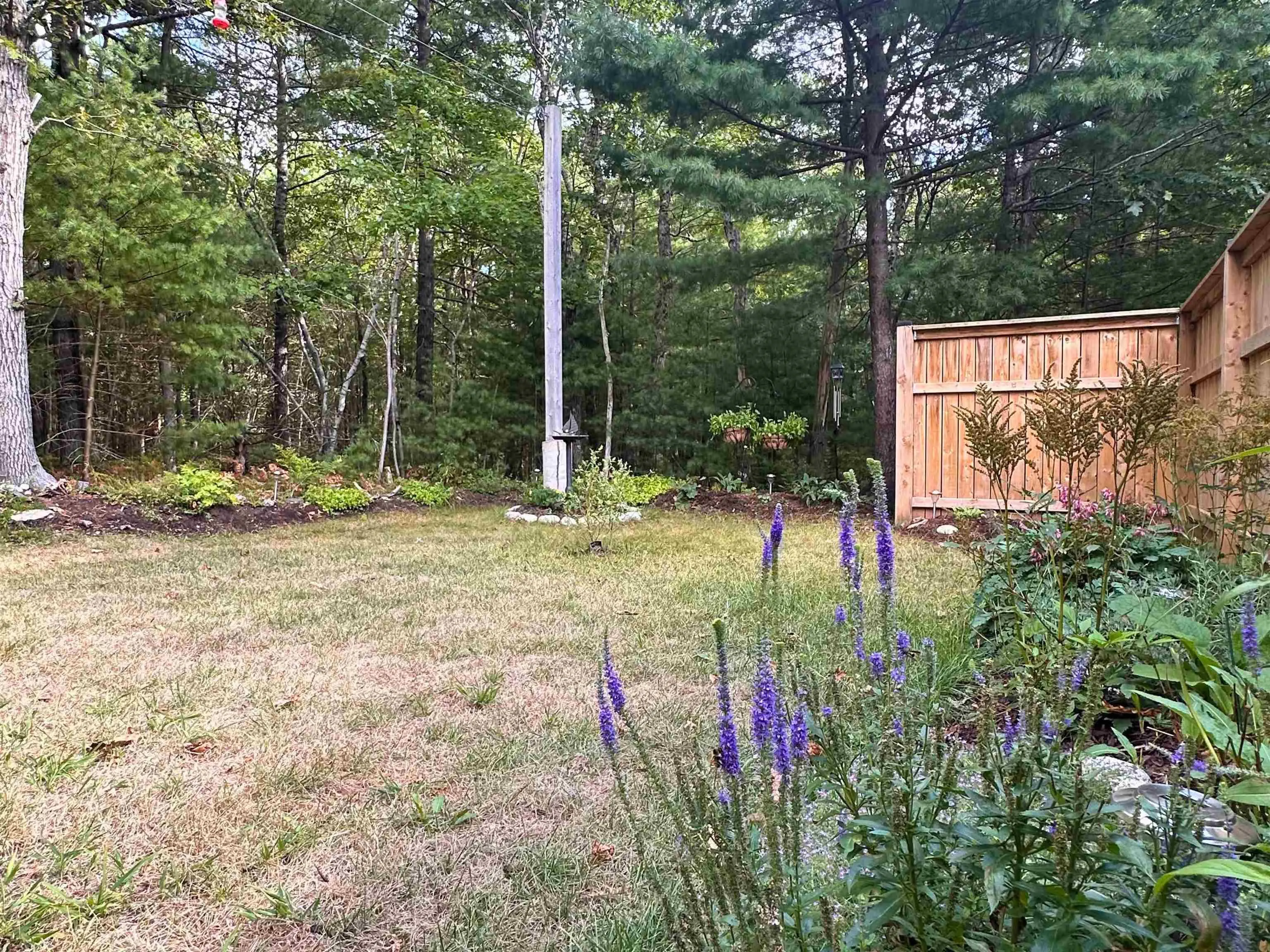 96 Etna Street, Bridgewater, NS B4V 8Z4, 3 Bedrooms Bedrooms, ,3 BathroomsBathrooms,Residential,For Sale,Etna,202521934