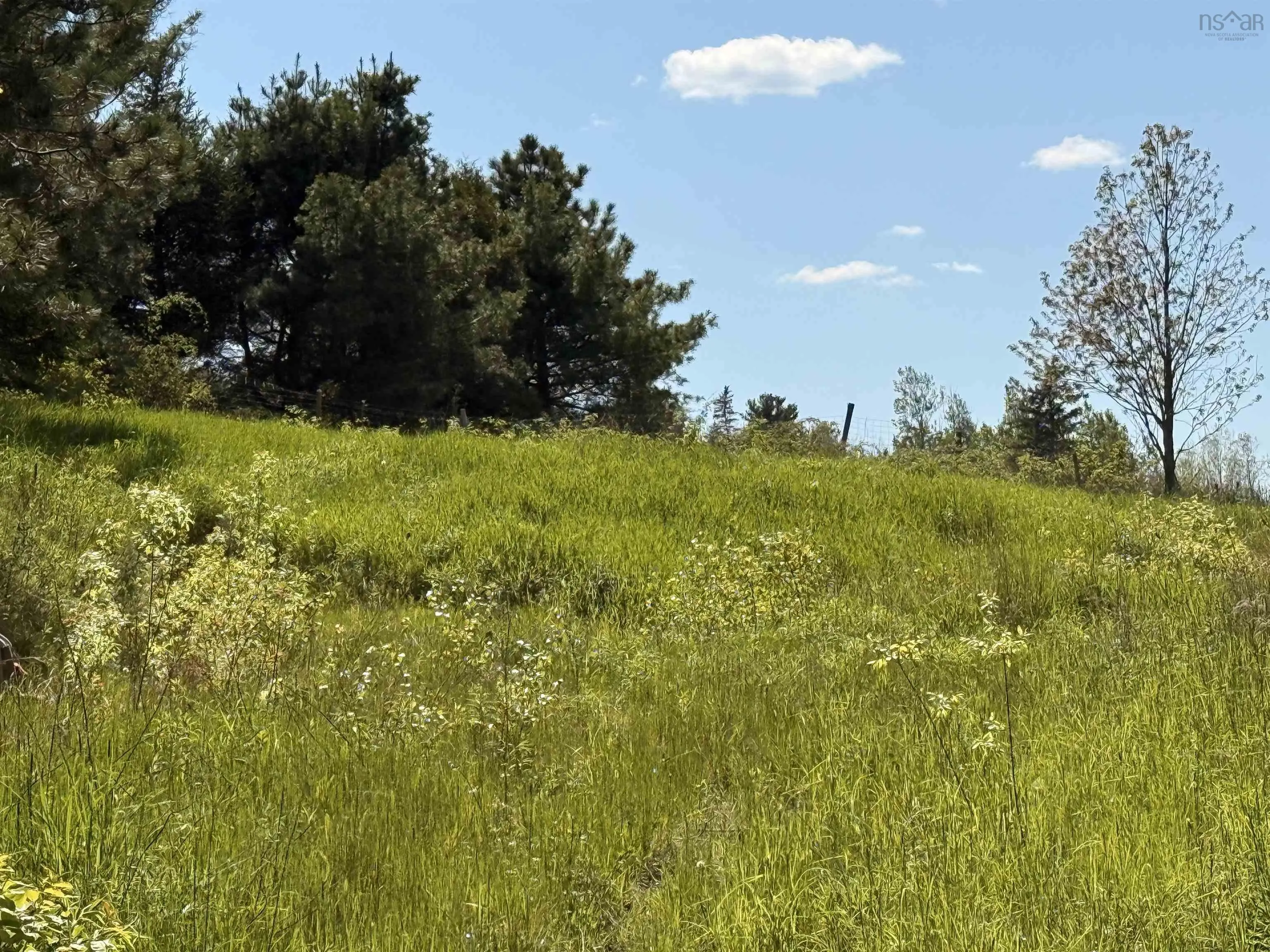 216 West Brooklyn Mountain, West Brooklyn, NS B4P 2R3, ,Land,For Sale,West Brooklyn Mountain,202512806