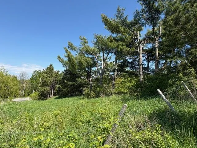 216 West Brooklyn Mountain, West Brooklyn, NS B4P 2R3, ,Land,For Sale,West Brooklyn Mountain,202512806