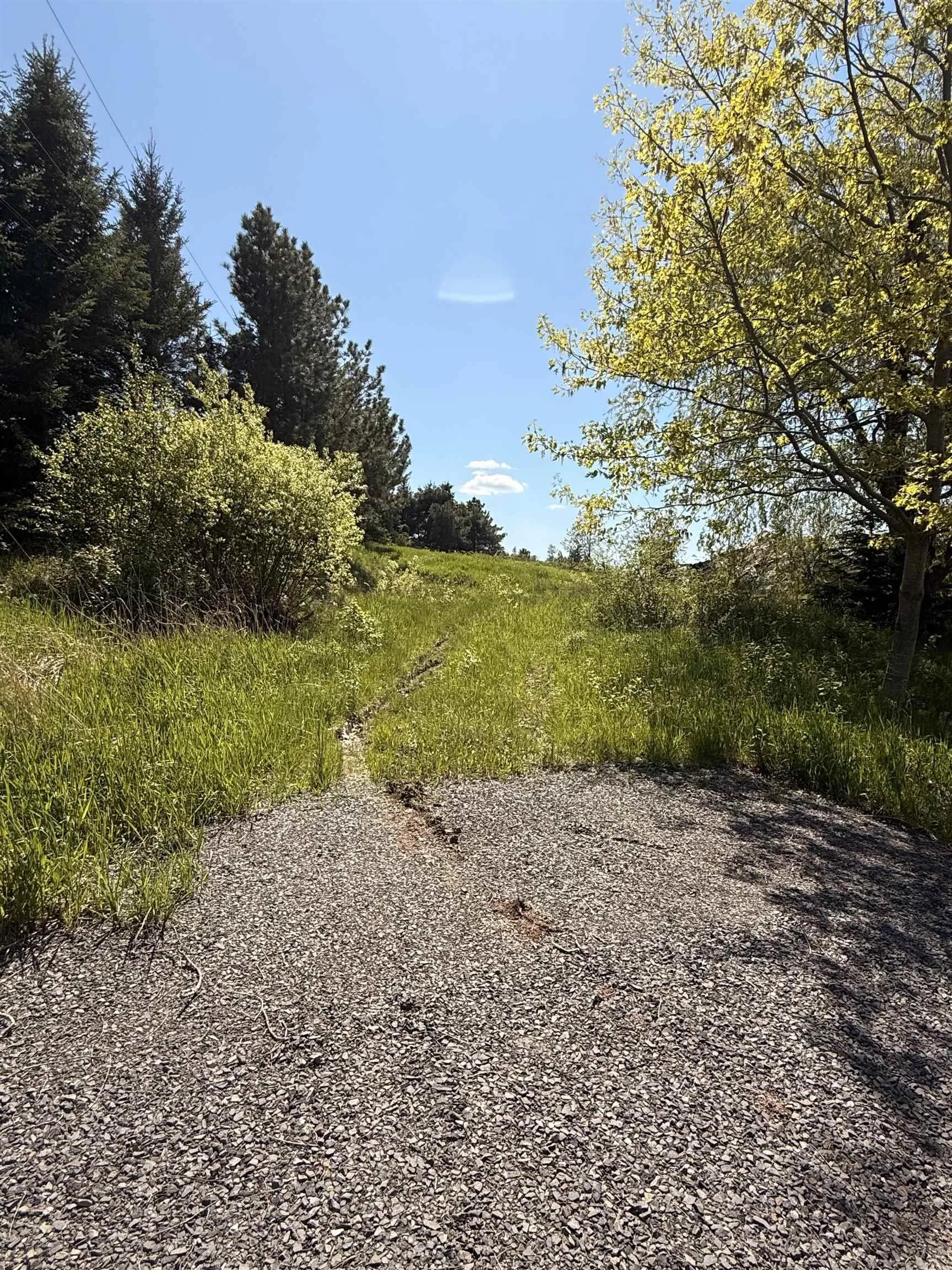 216 West Brooklyn Mountain, West Brooklyn, NS B4P 2R3, ,Land,For Sale,West Brooklyn Mountain,202512806