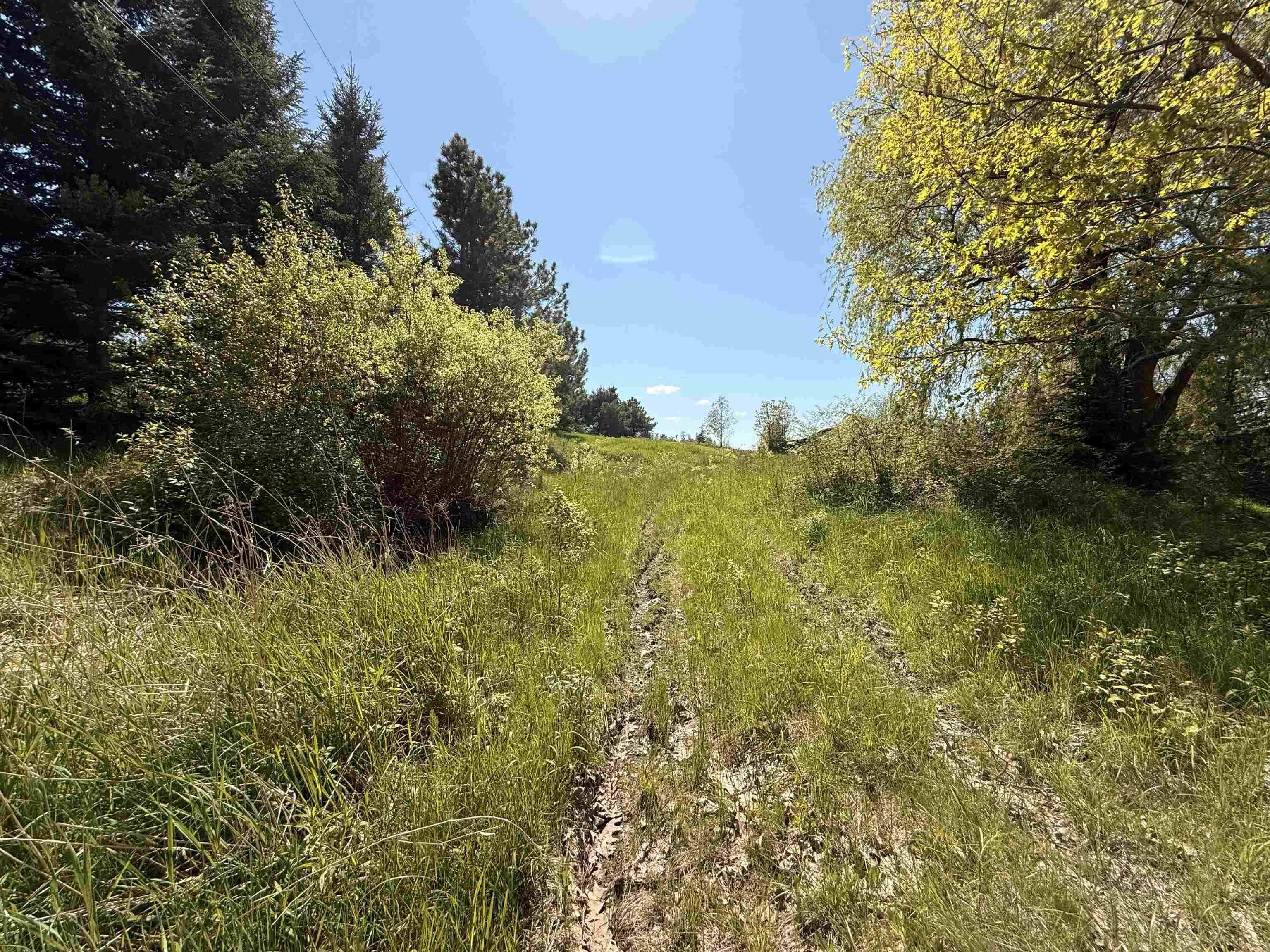 216 West Brooklyn Mountain, West Brooklyn, NS B4P 2R3, ,Land,For Sale,West Brooklyn Mountain,202512806