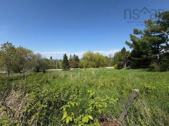 216 West Brooklyn Mountain, West Brooklyn, NS B4P 2R3, ,Land,For Sale,West Brooklyn Mountain,202512806