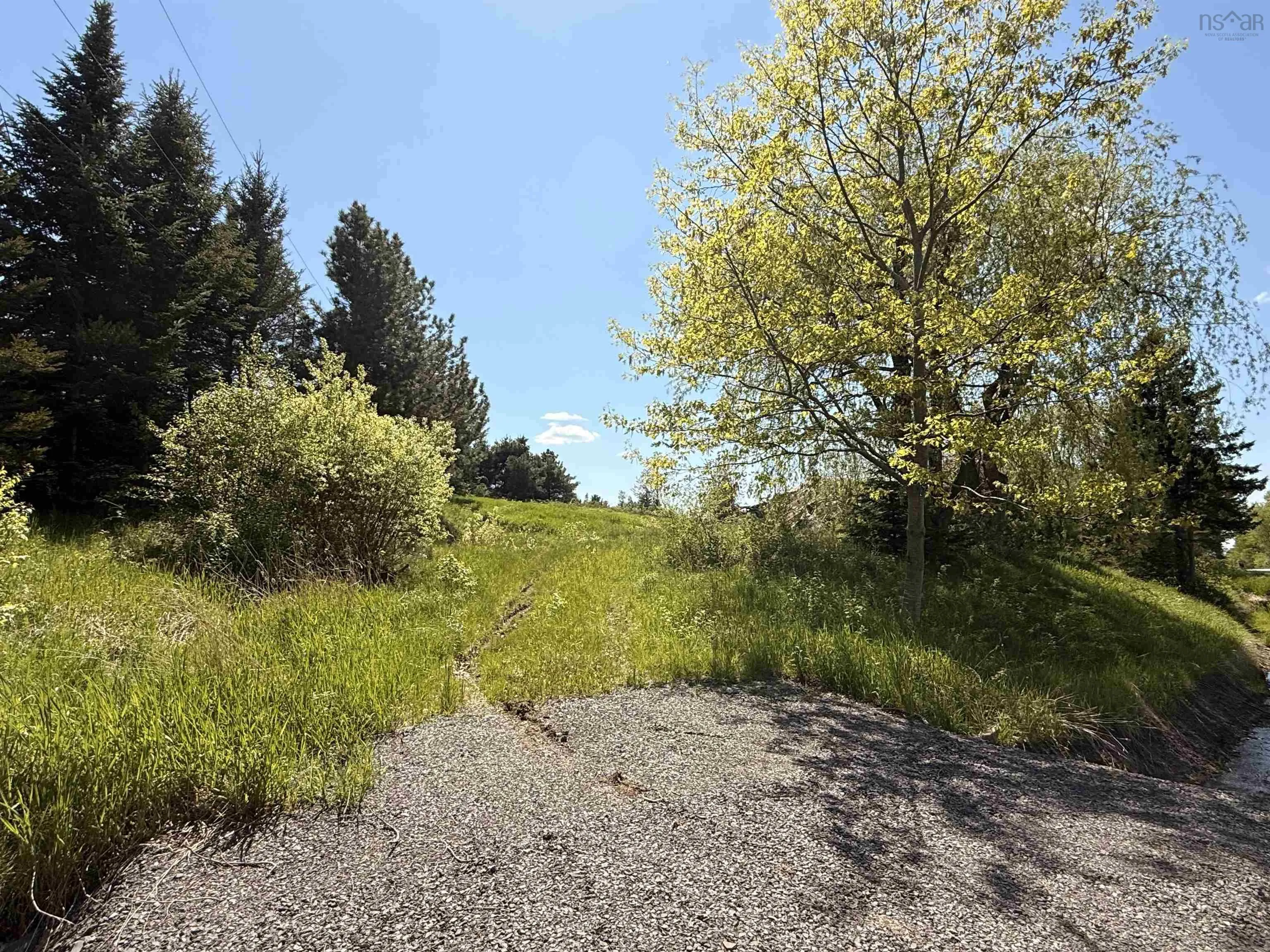 216 West Brooklyn Mountain, West Brooklyn, NS B4P 2R3, ,Land,For Sale,West Brooklyn Mountain,202512806