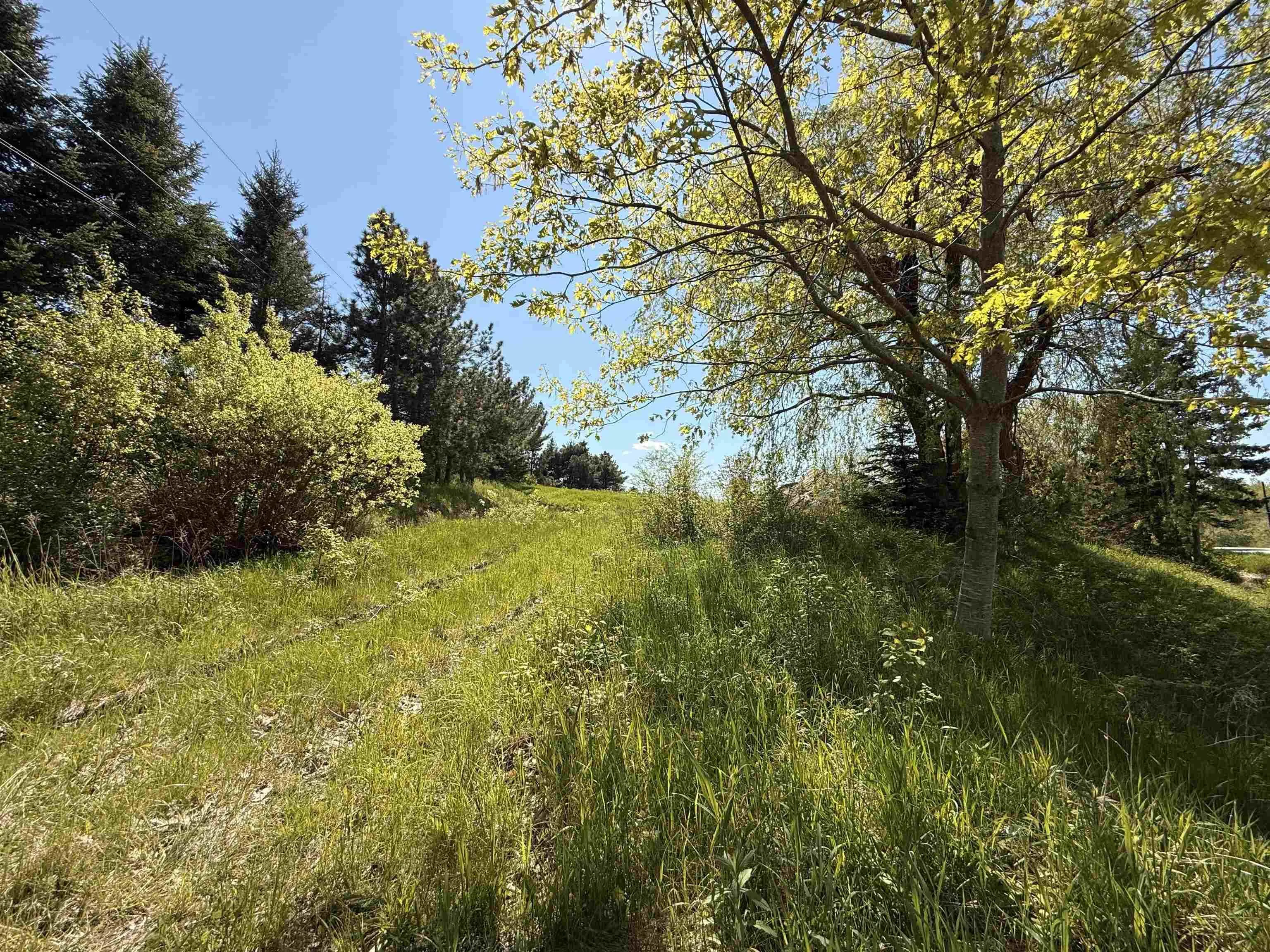 216 West Brooklyn Mountain, West Brooklyn, NS B4P 2R3, ,Land,For Sale,West Brooklyn Mountain,202512806