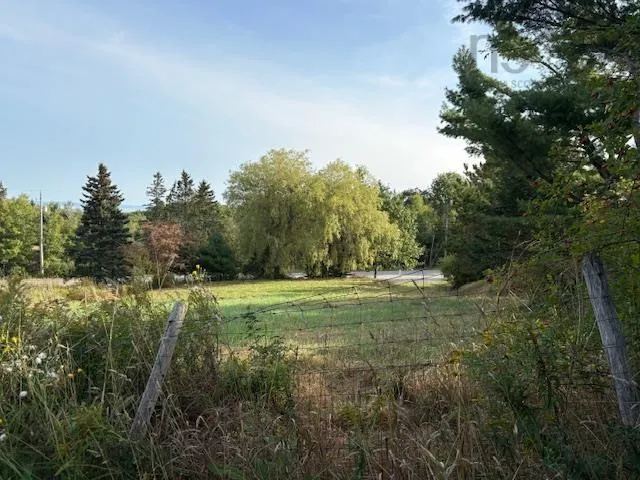 216 West Brooklyn Mountain, West Brooklyn, NS B4P 2R3, ,Land,For Sale,West Brooklyn Mountain,202512806