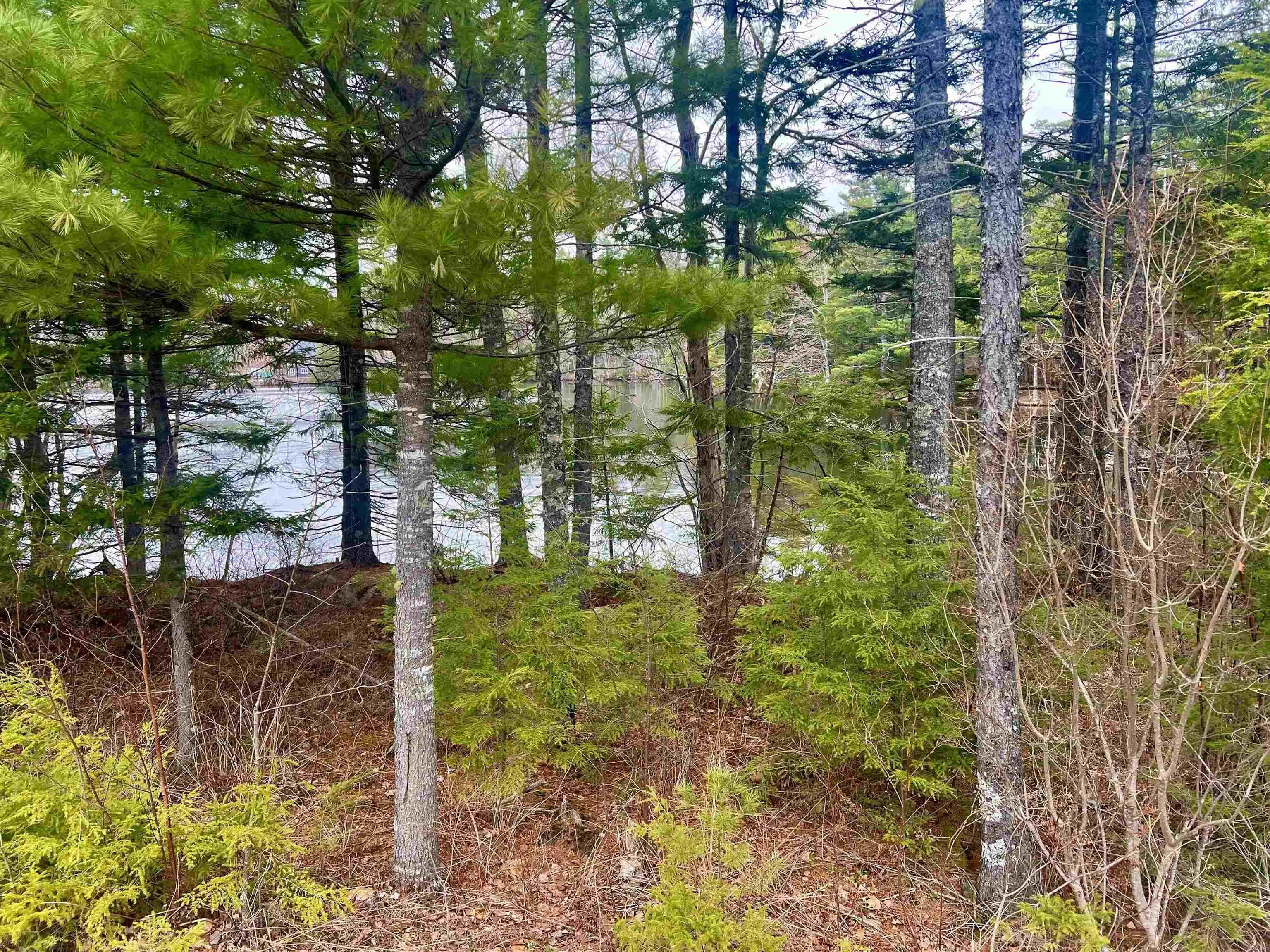 Homestead Estates Drive Lot 62, Italy Cross, NS B4V 0S4, ,Land,For Sale,Homestead Estates,202511446