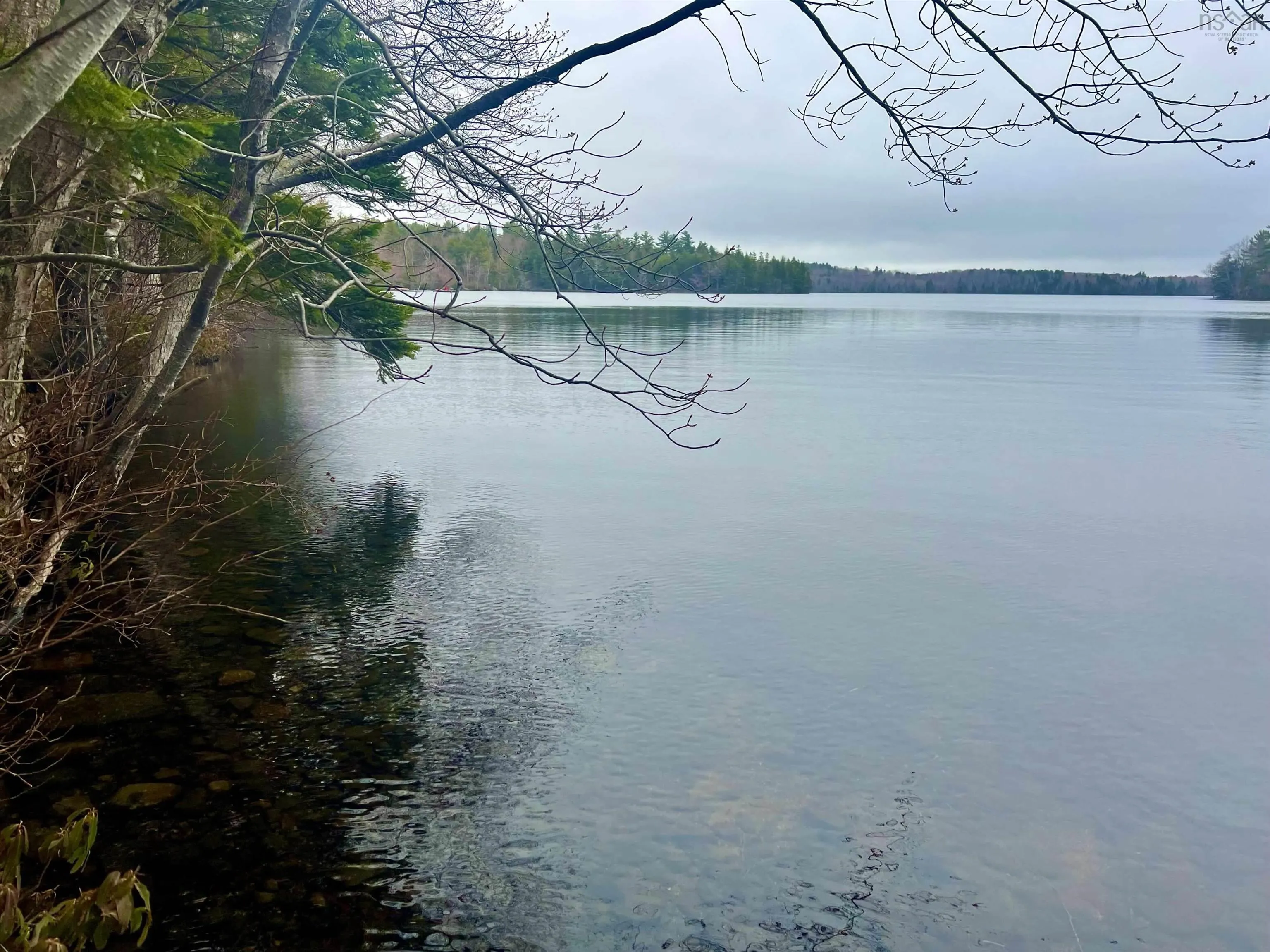 Homestead Estates Drive Lot 62, Italy Cross, NS B4V 0S4, ,Land,For Sale,Homestead Estates,202511446