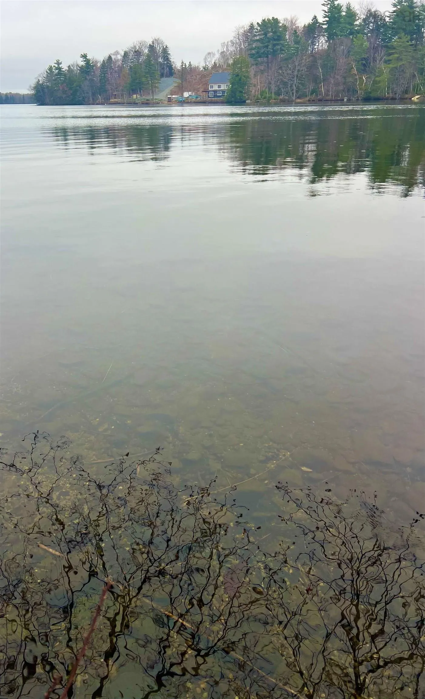 Homestead Estates Drive Lot 62, Italy Cross, NS B4V 0S4, ,Land,For Sale,Homestead Estates,202511446
